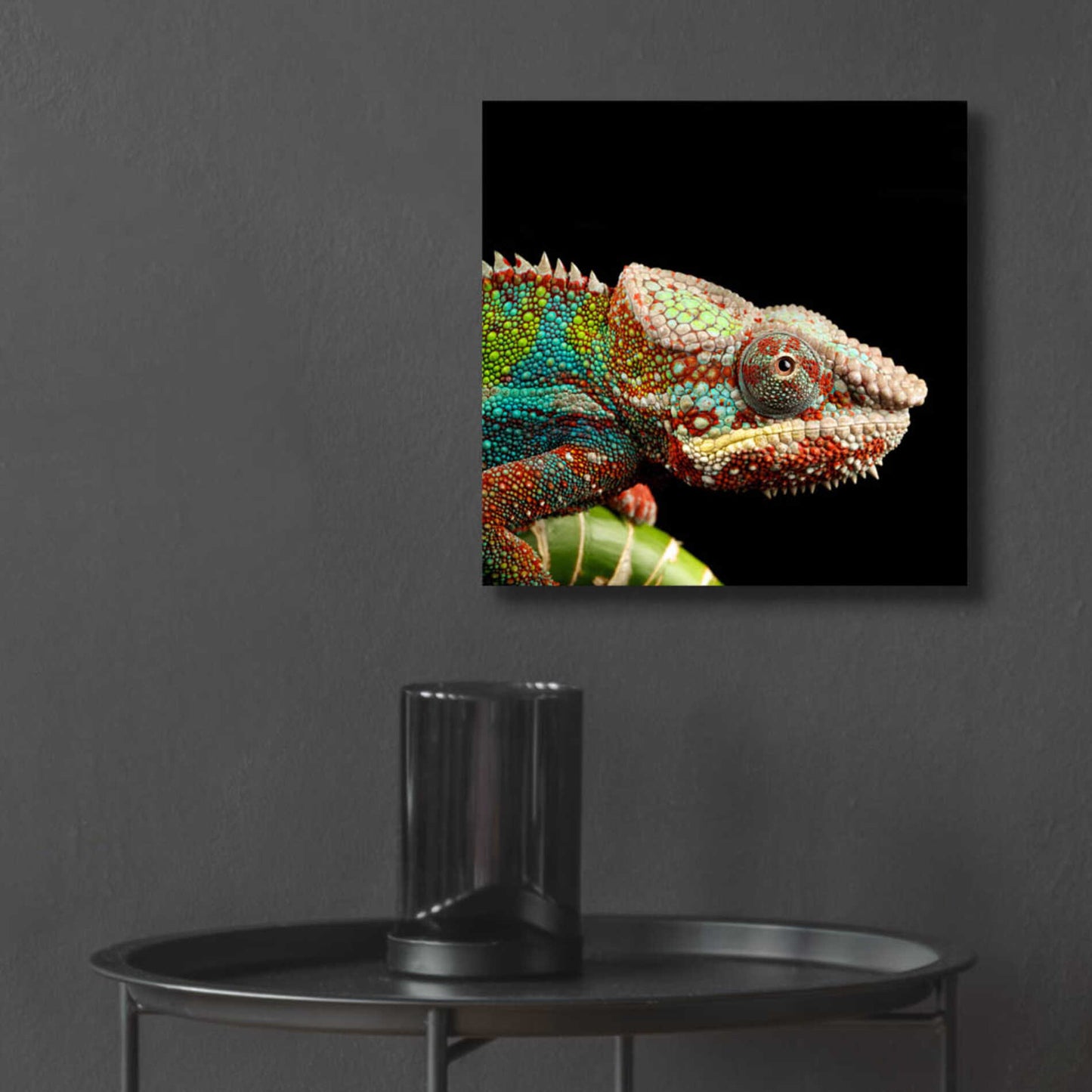 Epic Art 'Hide And Seek' by Epic Portfolio Acrylic Glass Wall Art,12x12