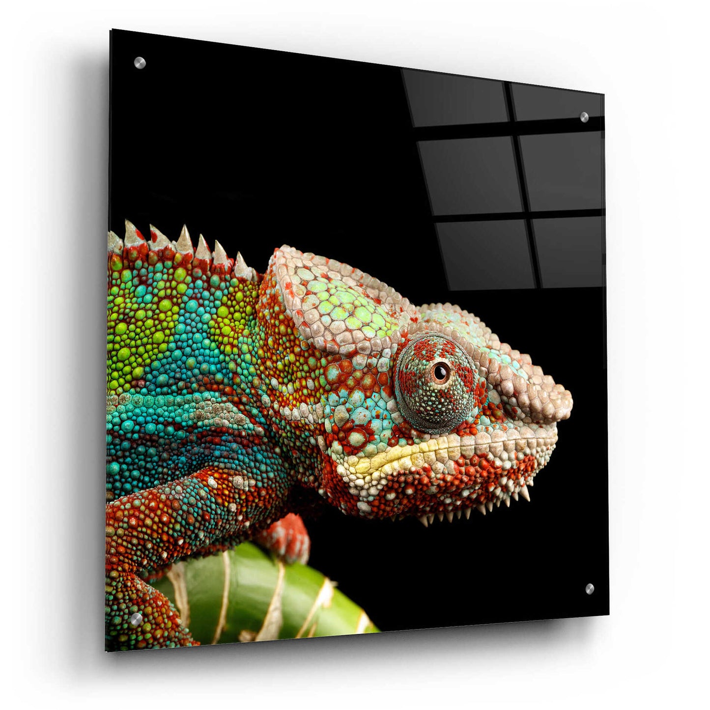 Epic Art 'Hide And Seek' by Epic Portfolio Acrylic Glass Wall Art,24x24