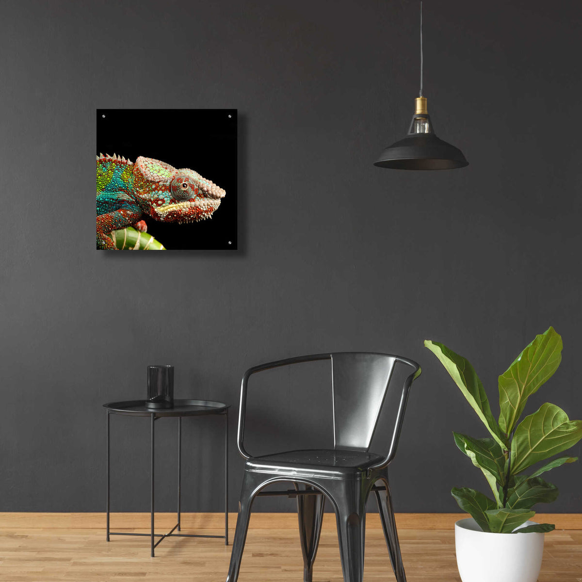 Epic Art 'Hide And Seek' by Epic Portfolio Acrylic Glass Wall Art,24x24