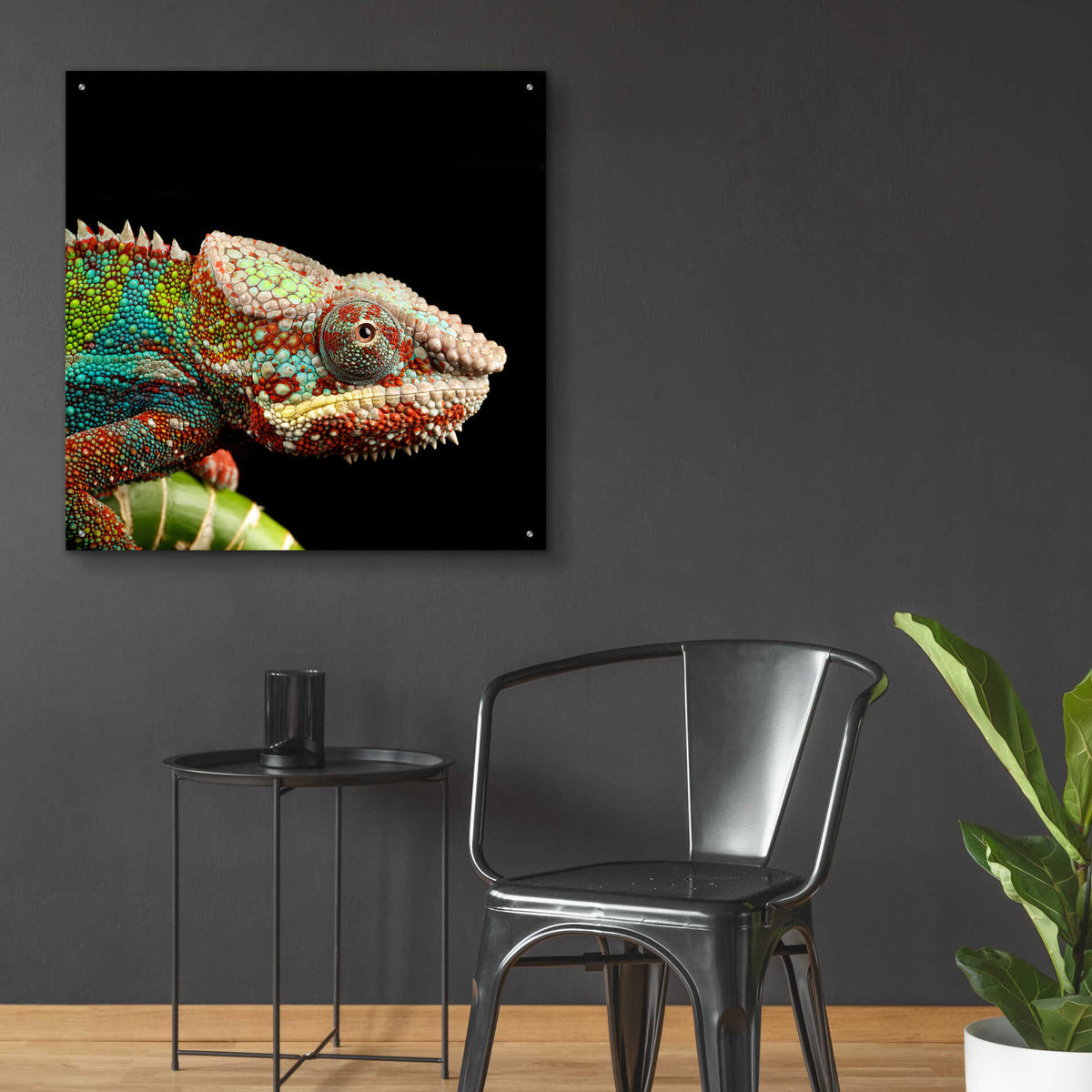 Epic Art 'Hide And Seek' by Epic Portfolio Acrylic Glass Wall Art,36x36