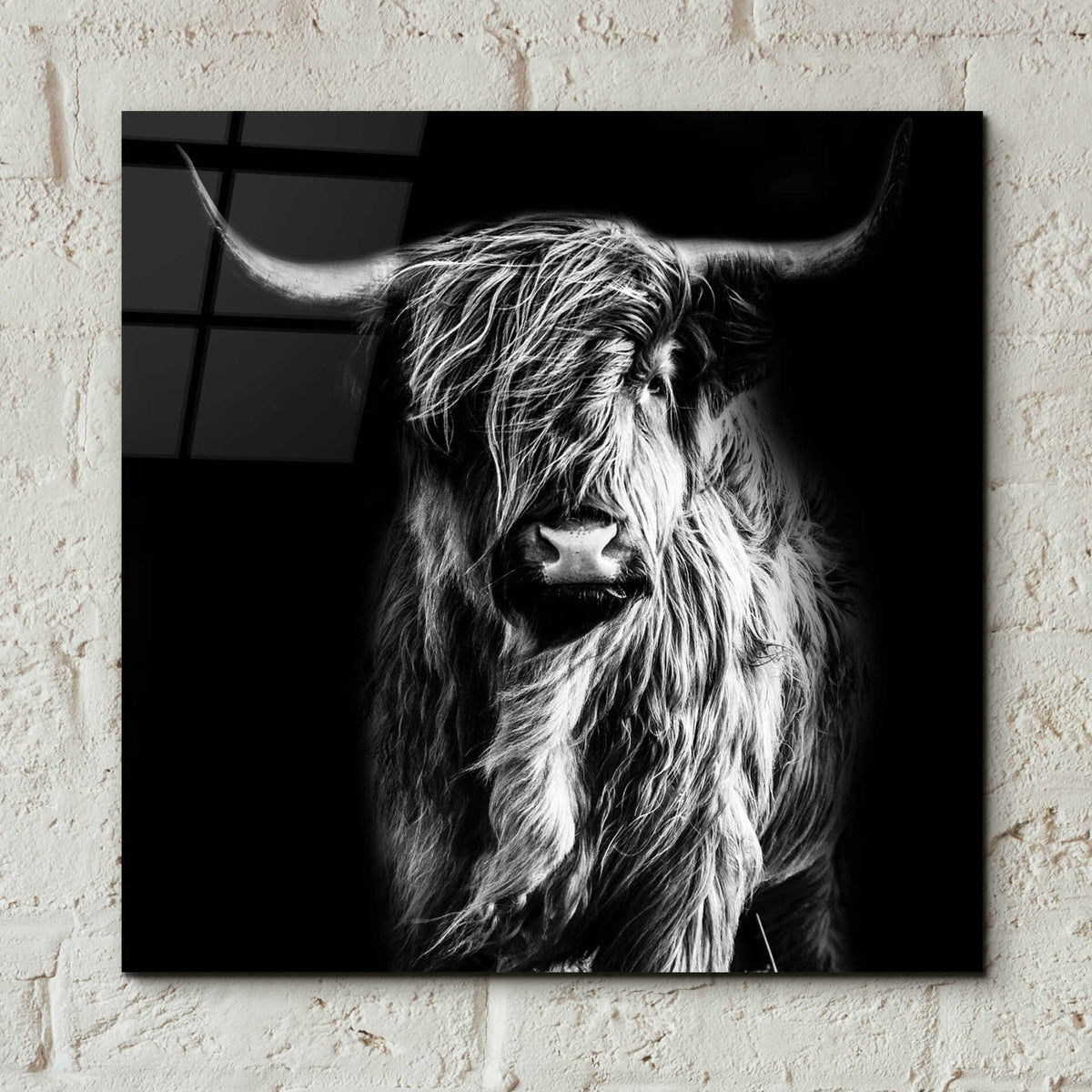 Epic Art 'Hippy Highland Cow' by Epic Portfolio Acrylic Glass Wall Art,12x12