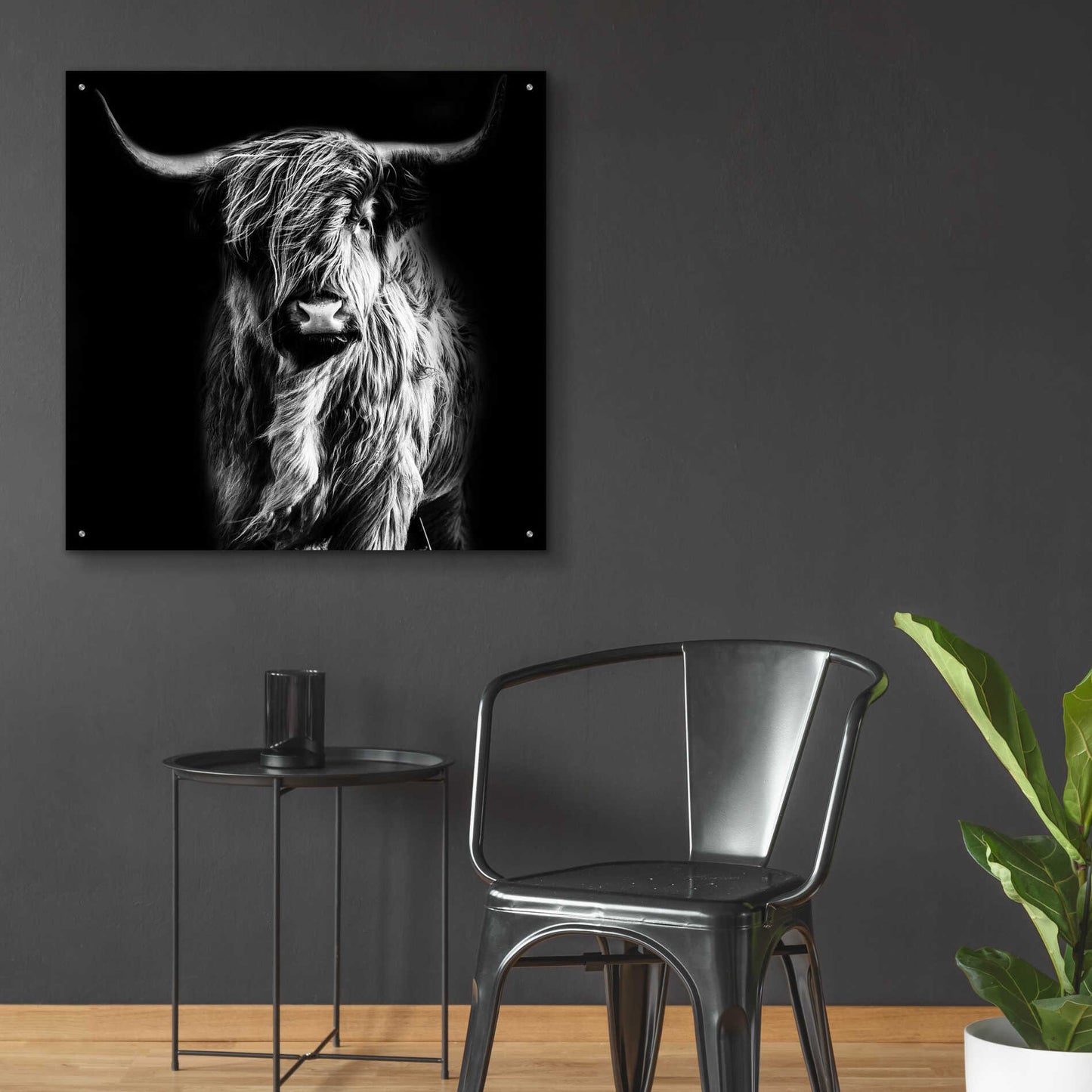 Epic Art 'Hippy Highland Cow' by Epic Portfolio Acrylic Glass Wall Art,36x36