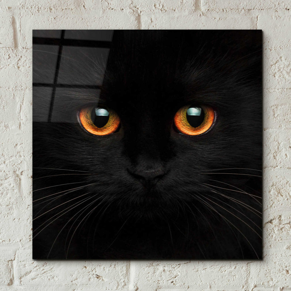 Epic Art 'Hunter' by Epic Portfolio Acrylic Glass Wall Art,12x12
