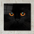 Epic Art 'Hunter' by Epic Portfolio Acrylic Glass Wall Art,12x12