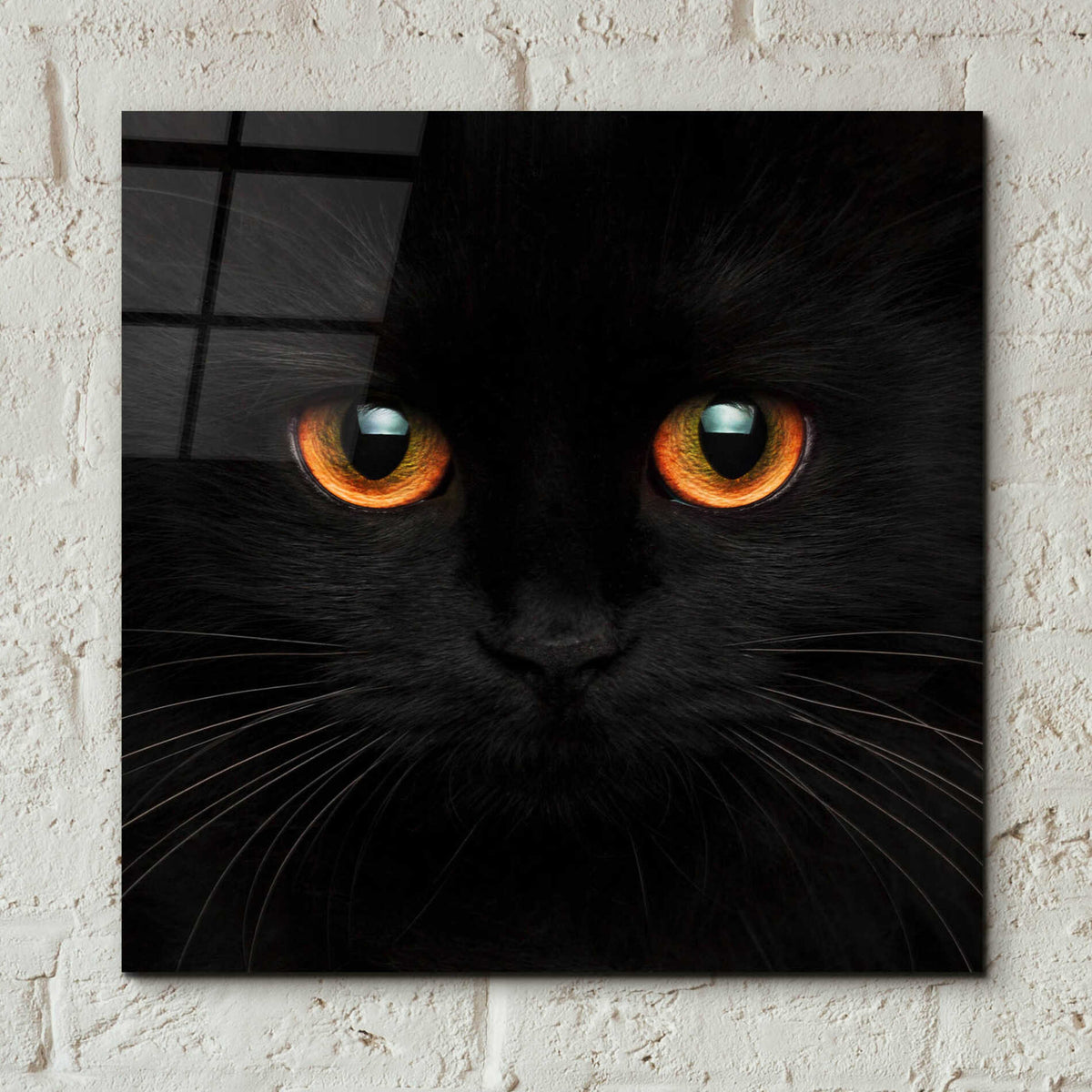 Epic Art 'Hunter' by Epic Portfolio Acrylic Glass Wall Art,12x12