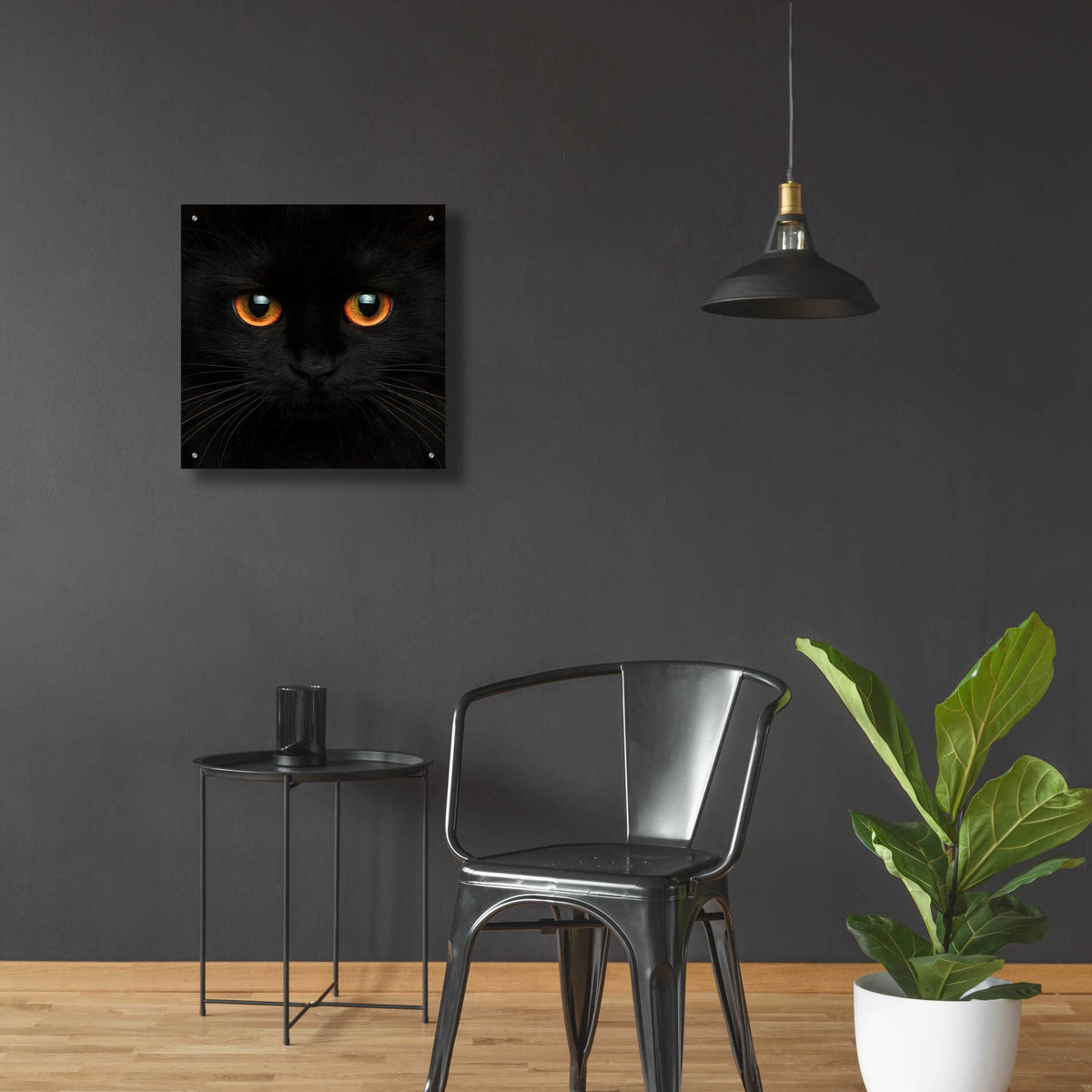 Epic Art 'Hunter' by Epic Portfolio Acrylic Glass Wall Art,24x24