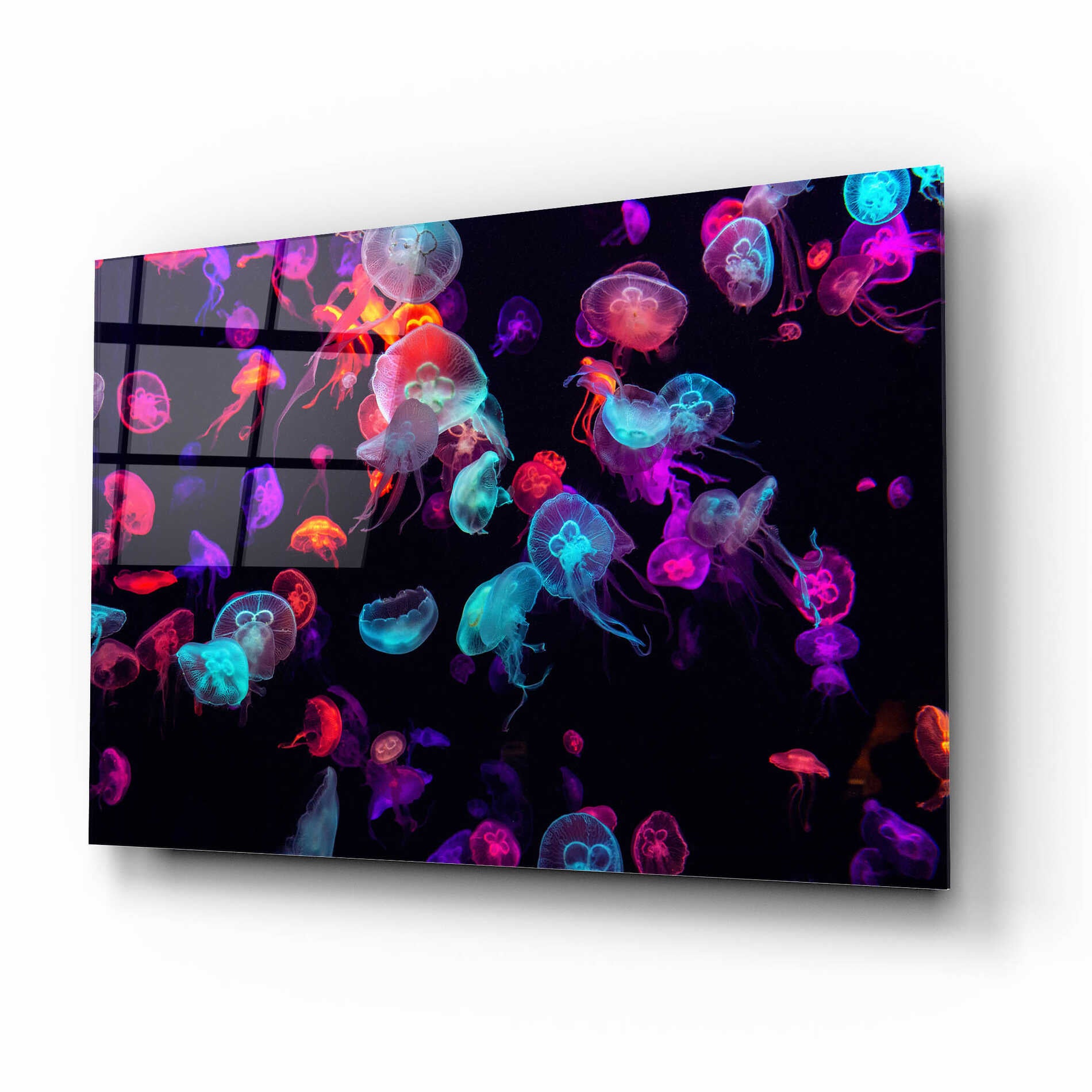 Epic Art 'Jelly Fish World' by Epic Portfolio Acrylic Glass Wall Art,16x12