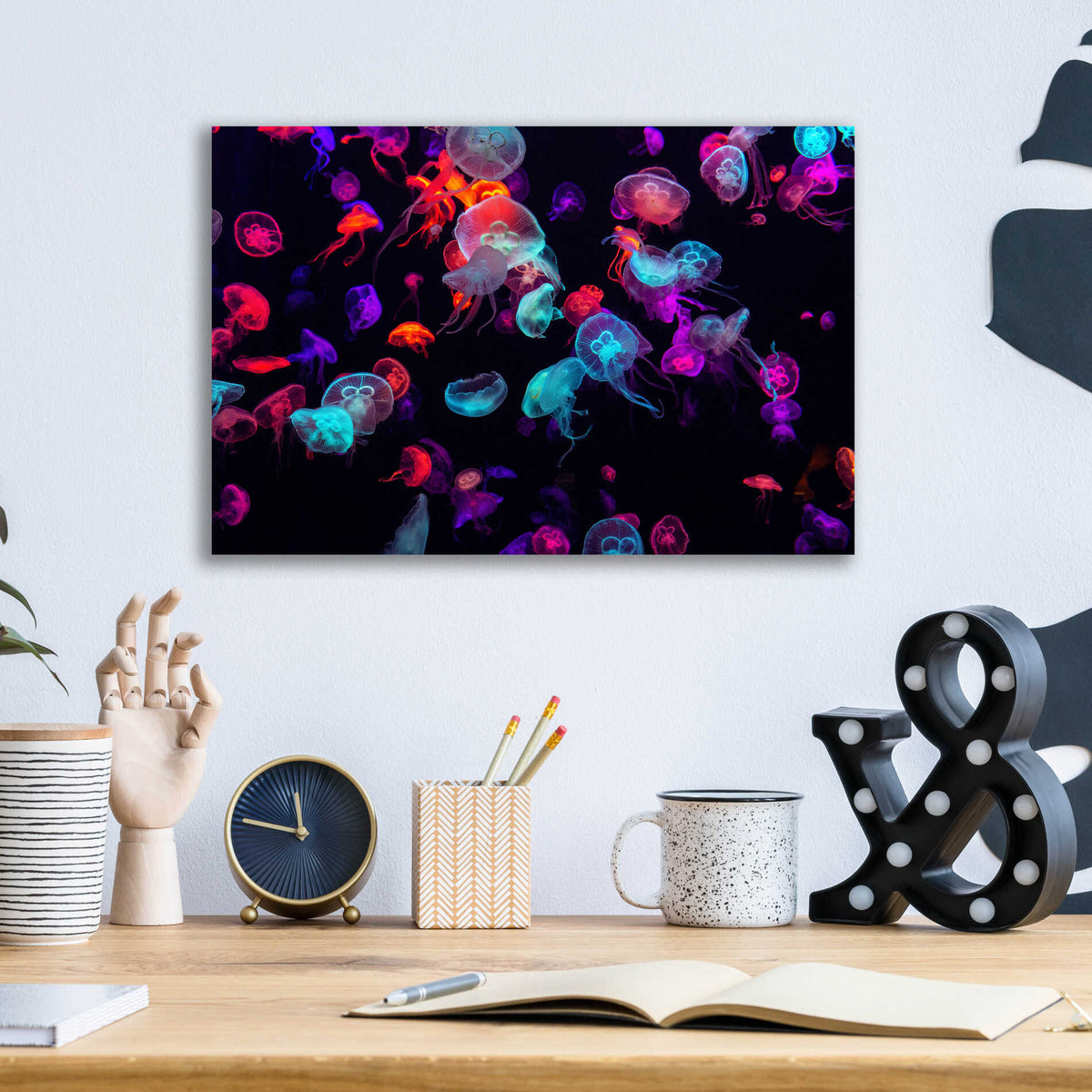 Epic Art 'Jelly Fish World' by Epic Portfolio Acrylic Glass Wall Art,16x12