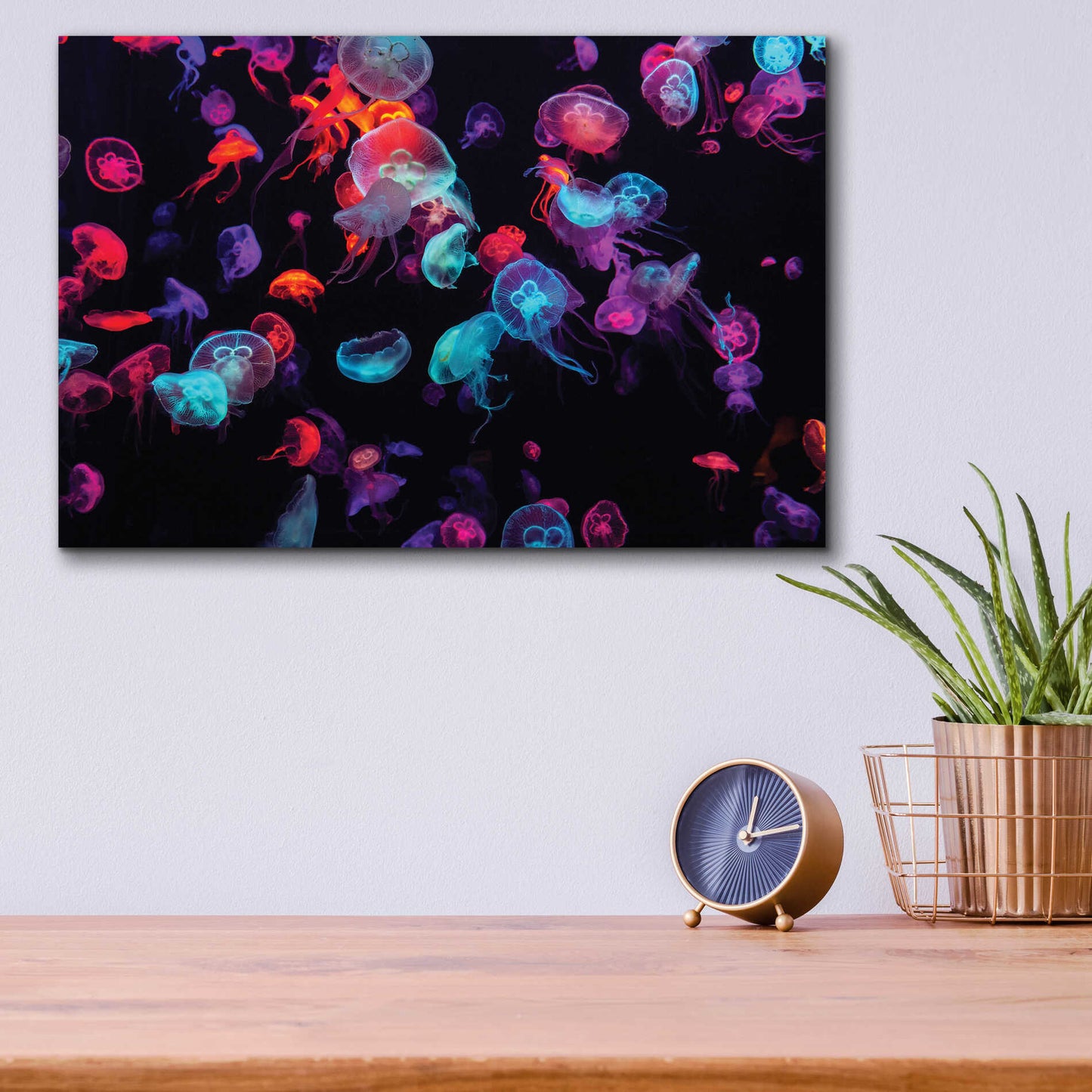 Epic Art 'Jelly Fish World' by Epic Portfolio Acrylic Glass Wall Art,16x12