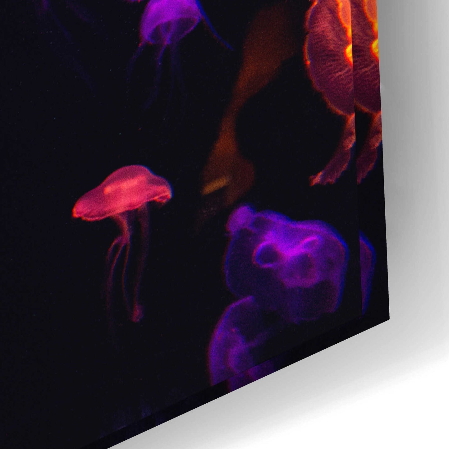 Epic Art 'Jelly Fish World' by Epic Portfolio Acrylic Glass Wall Art,24x16