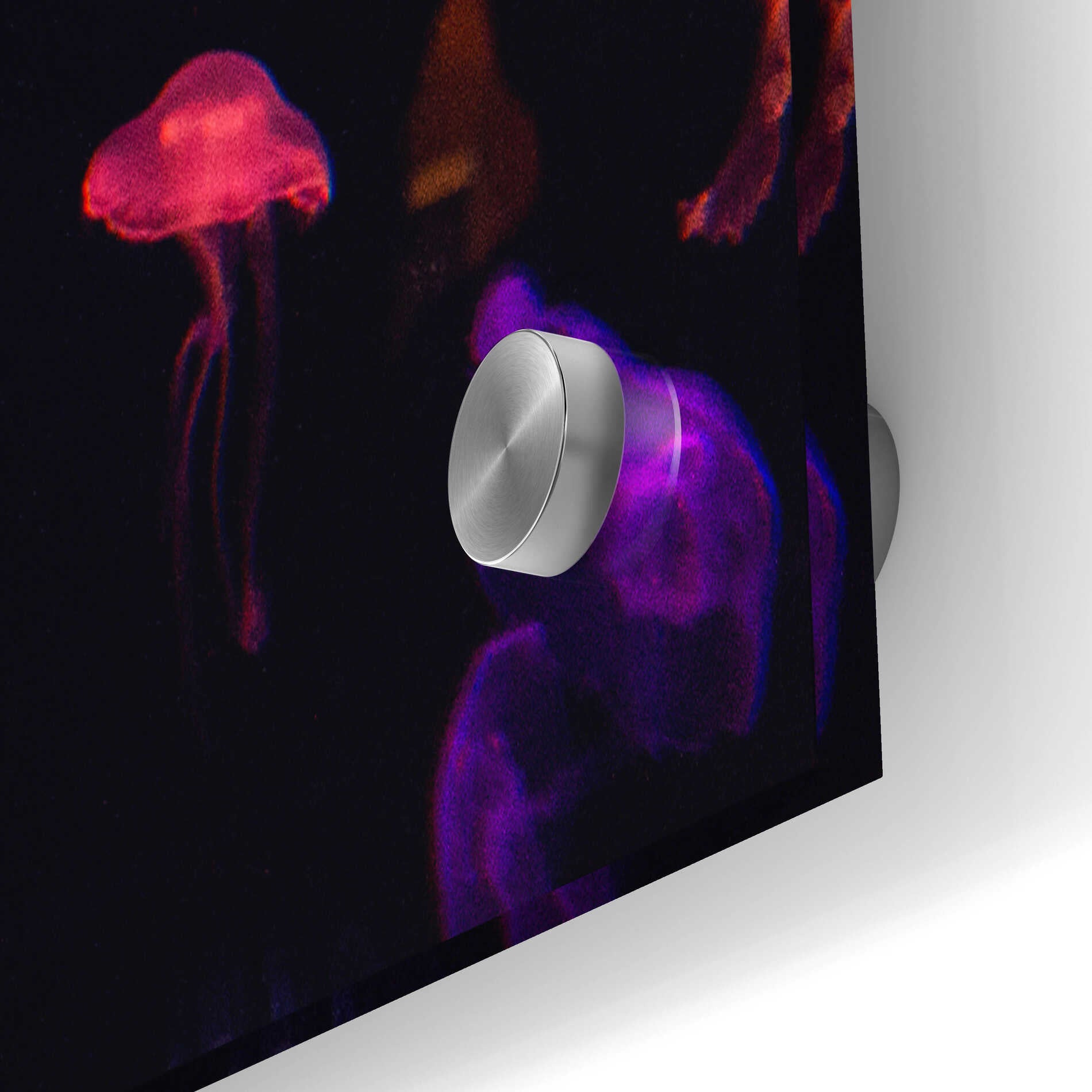 Epic Art 'Jelly Fish World' by Epic Portfolio Acrylic Glass Wall Art,36x24