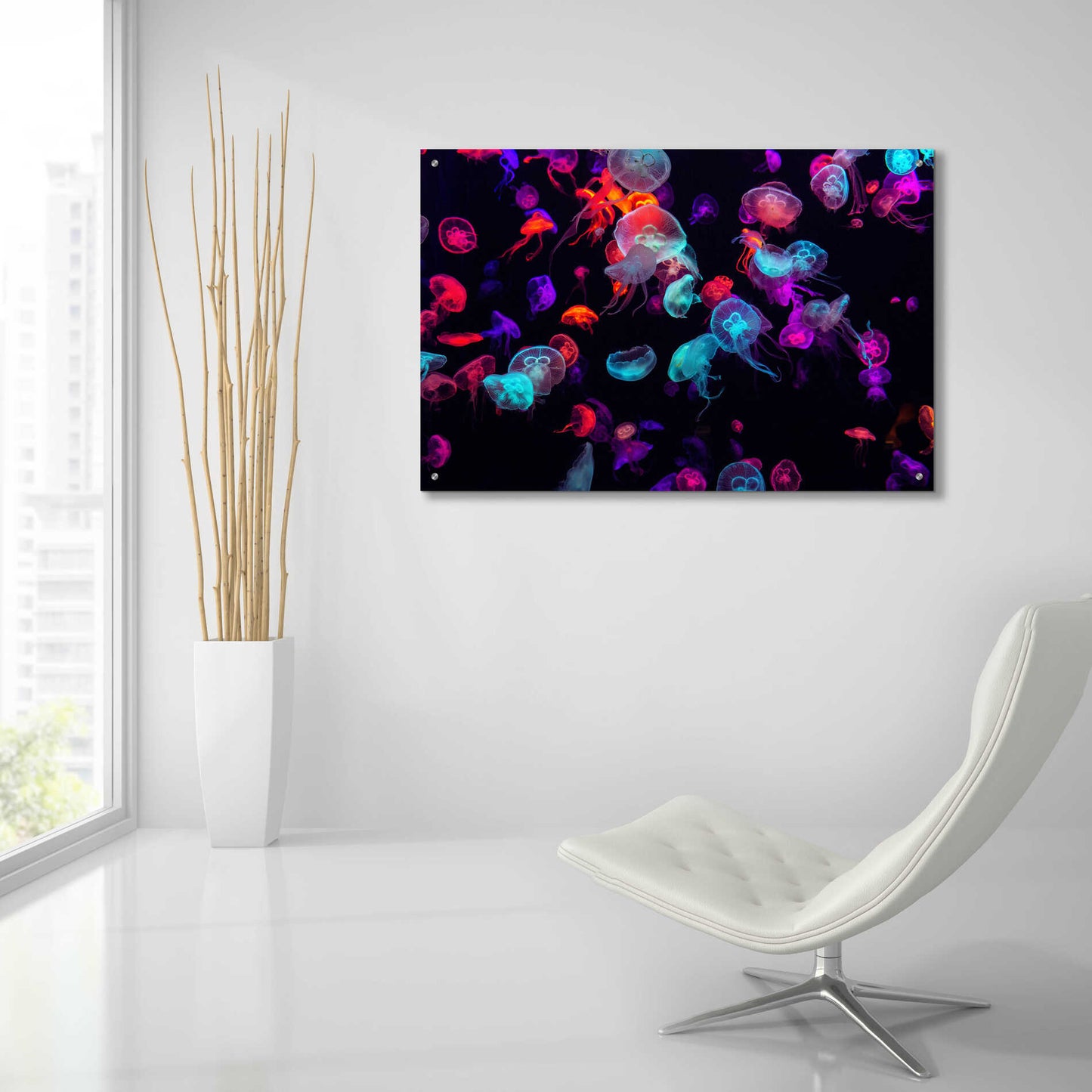 Epic Art 'Jelly Fish World' by Epic Portfolio Acrylic Glass Wall Art,36x24