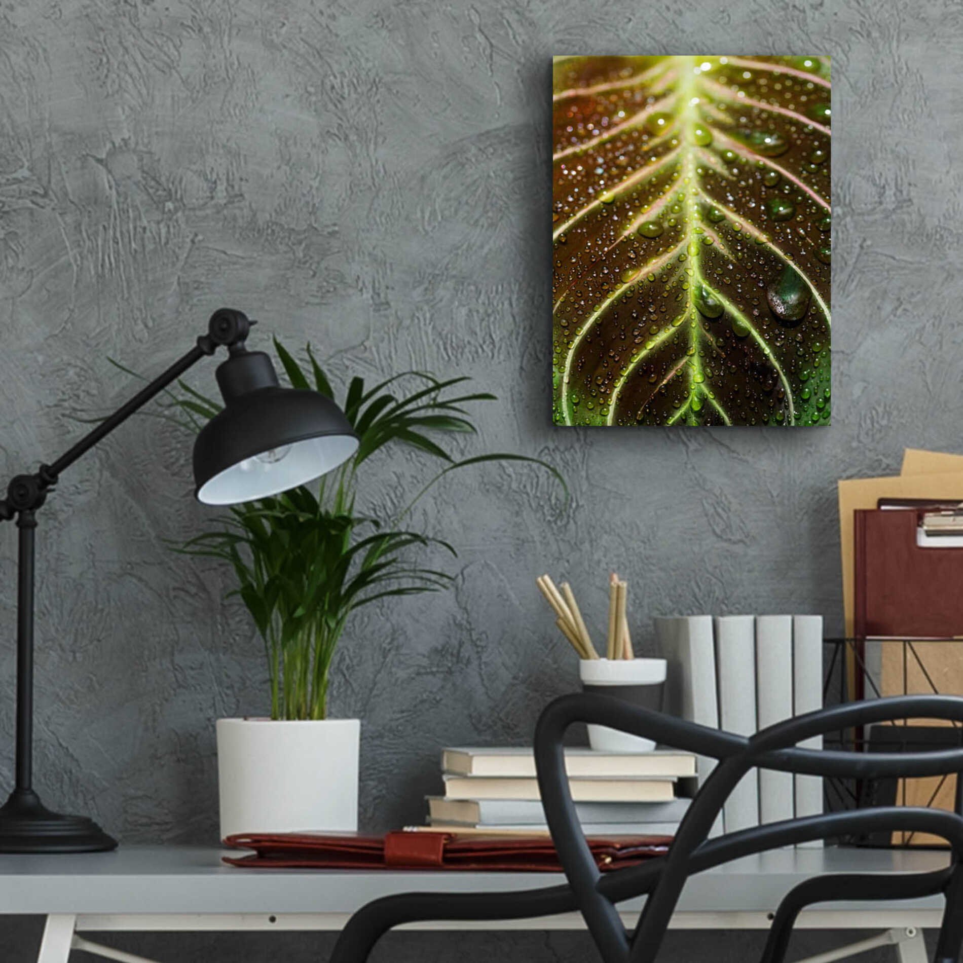 Epic Art 'Morning Dew' by Epic Portfolio Acrylic Glass Wall Art,12x16