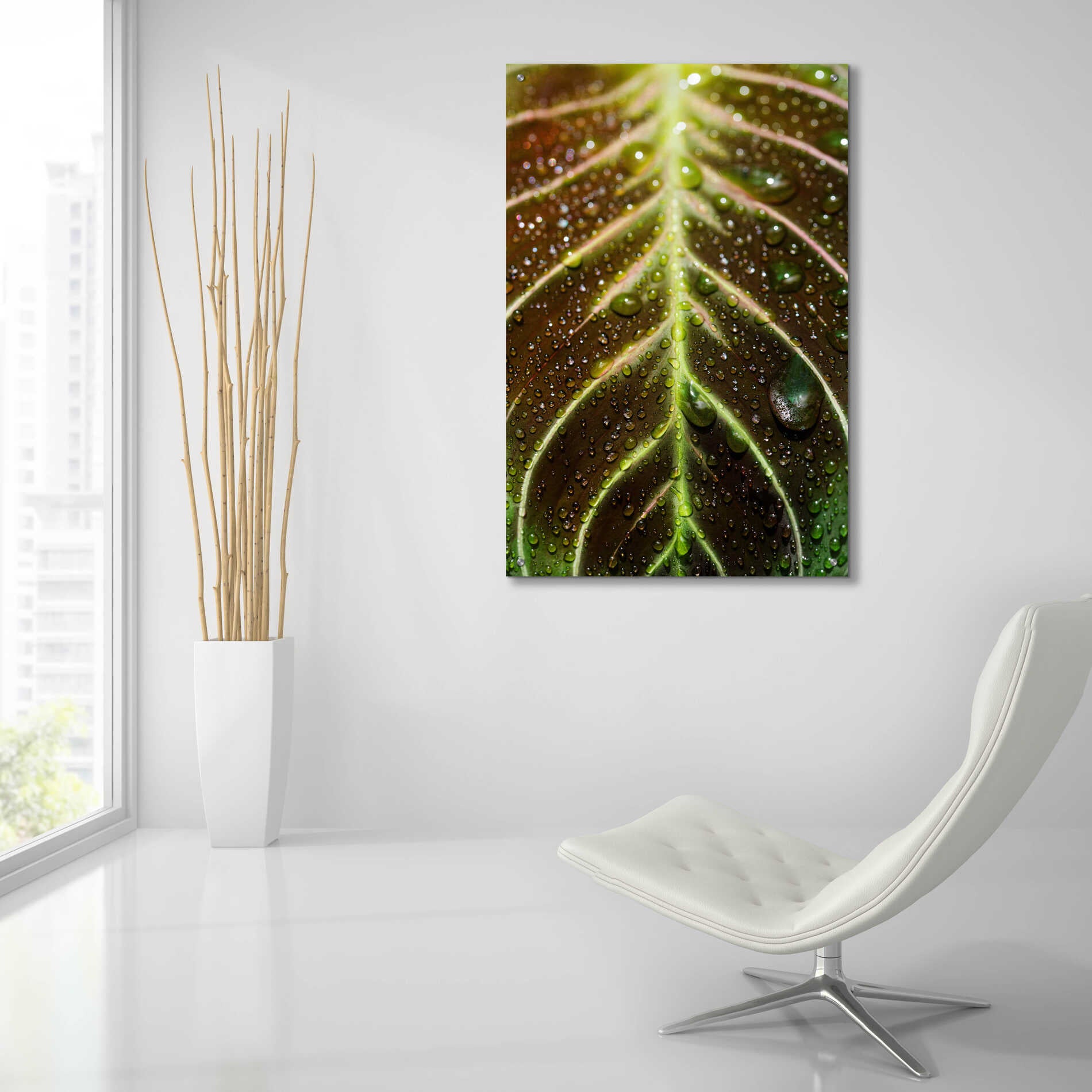 Epic Art 'Morning Dew' by Epic Portfolio Acrylic Glass Wall Art,24x36