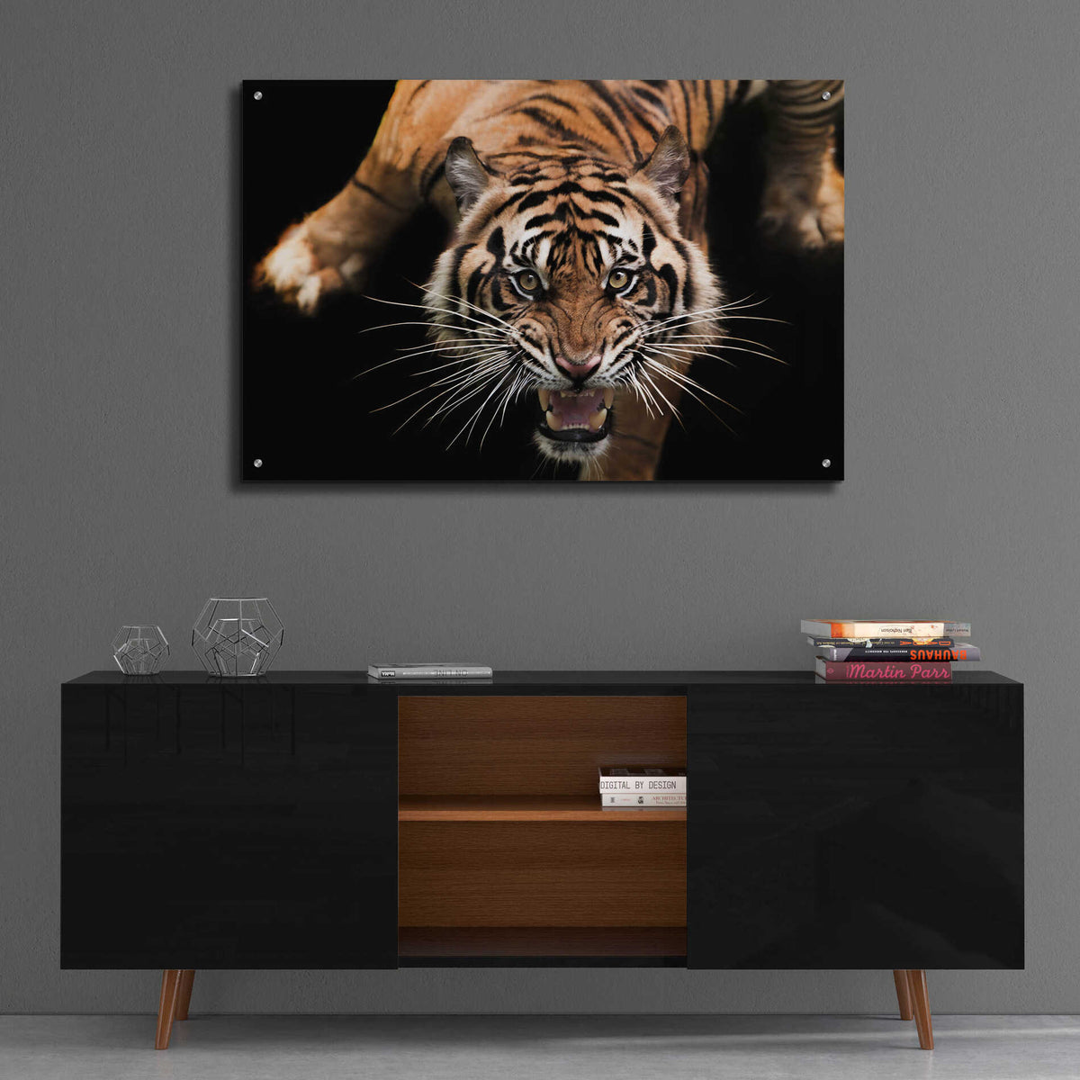 Epic Art 'Nice Kitty' by Epic Portfolio Acrylic Glass Wall Art,36x24