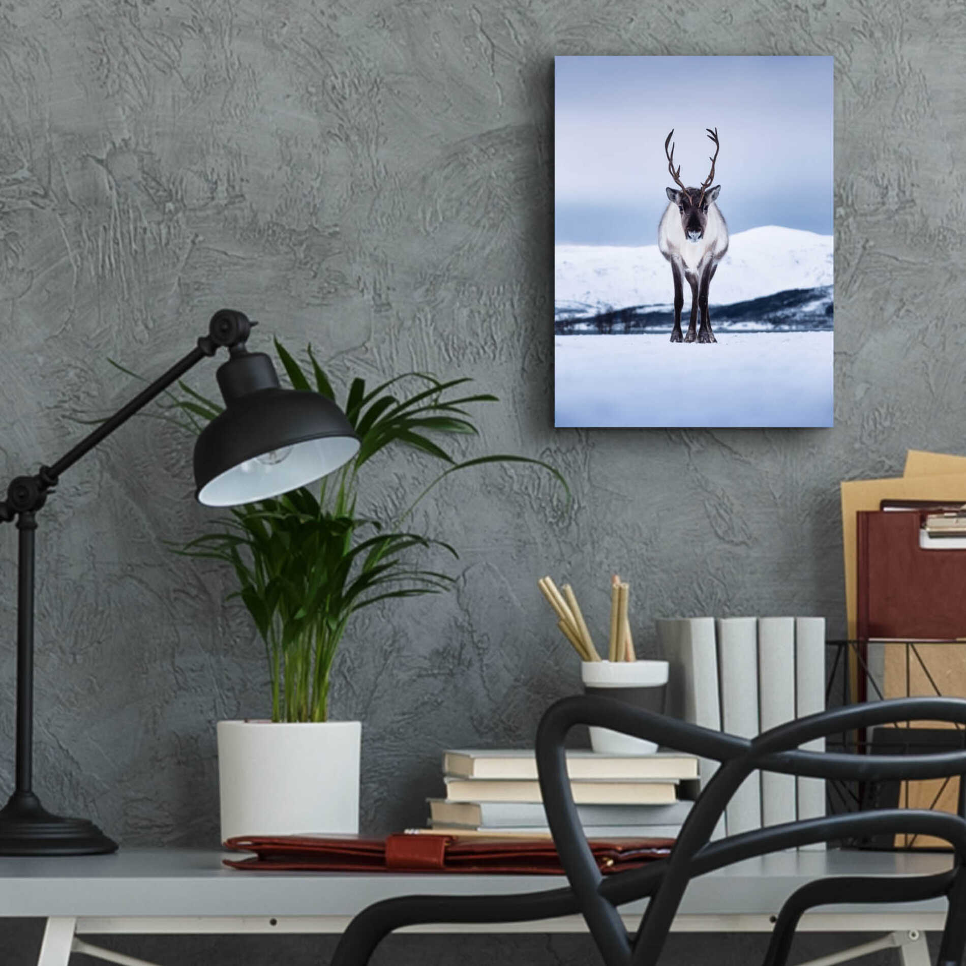 Epic Art 'Norwegian Raindeer' by Epic Portfolio Acrylic Glass Wall Art,12x16