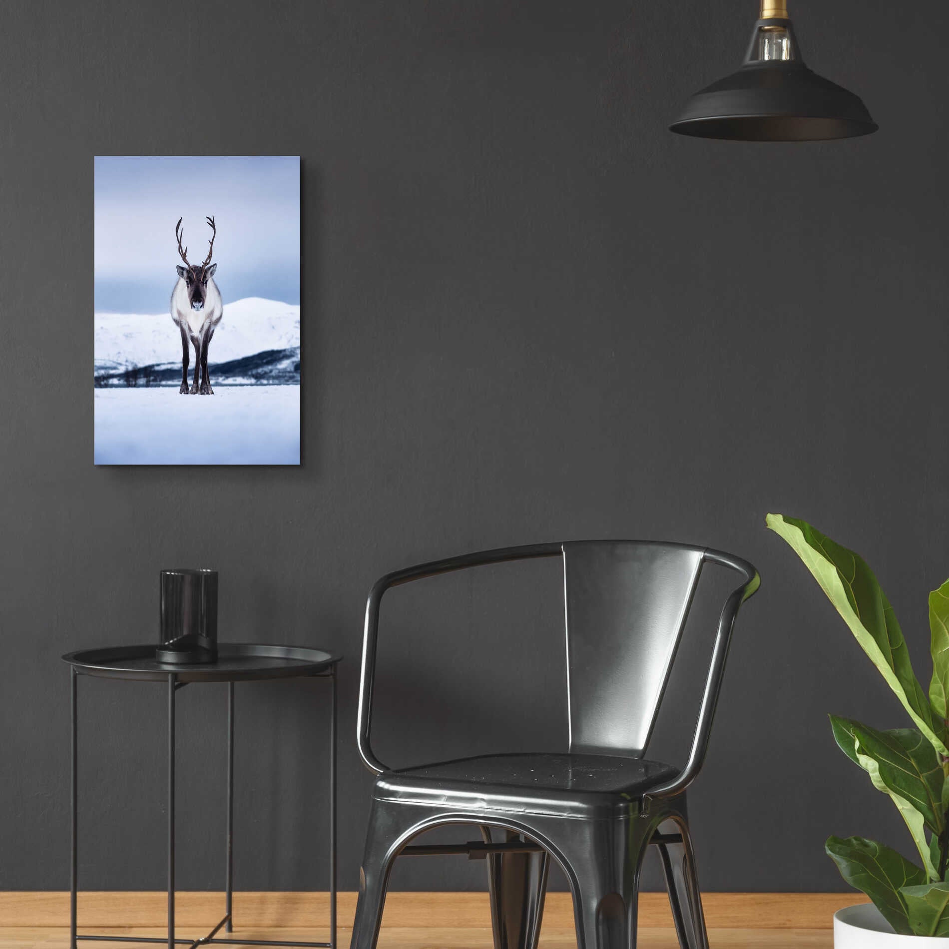 Epic Art 'Norwegian Raindeer' by Epic Portfolio Acrylic Glass Wall Art,16x24