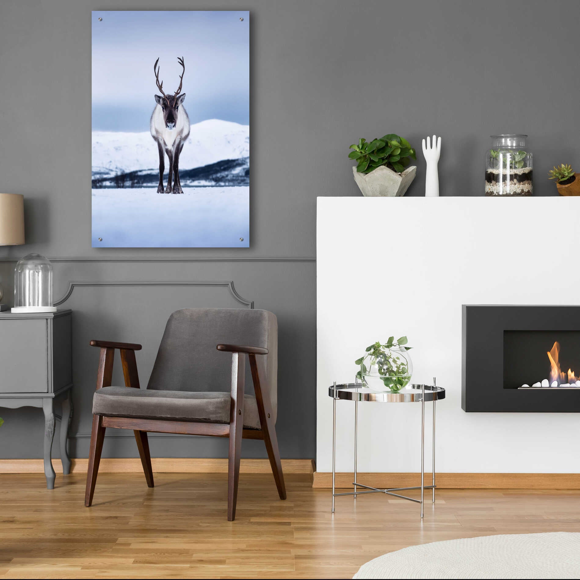 Epic Art 'Norwegian Raindeer' by Epic Portfolio Acrylic Glass Wall Art,24x36