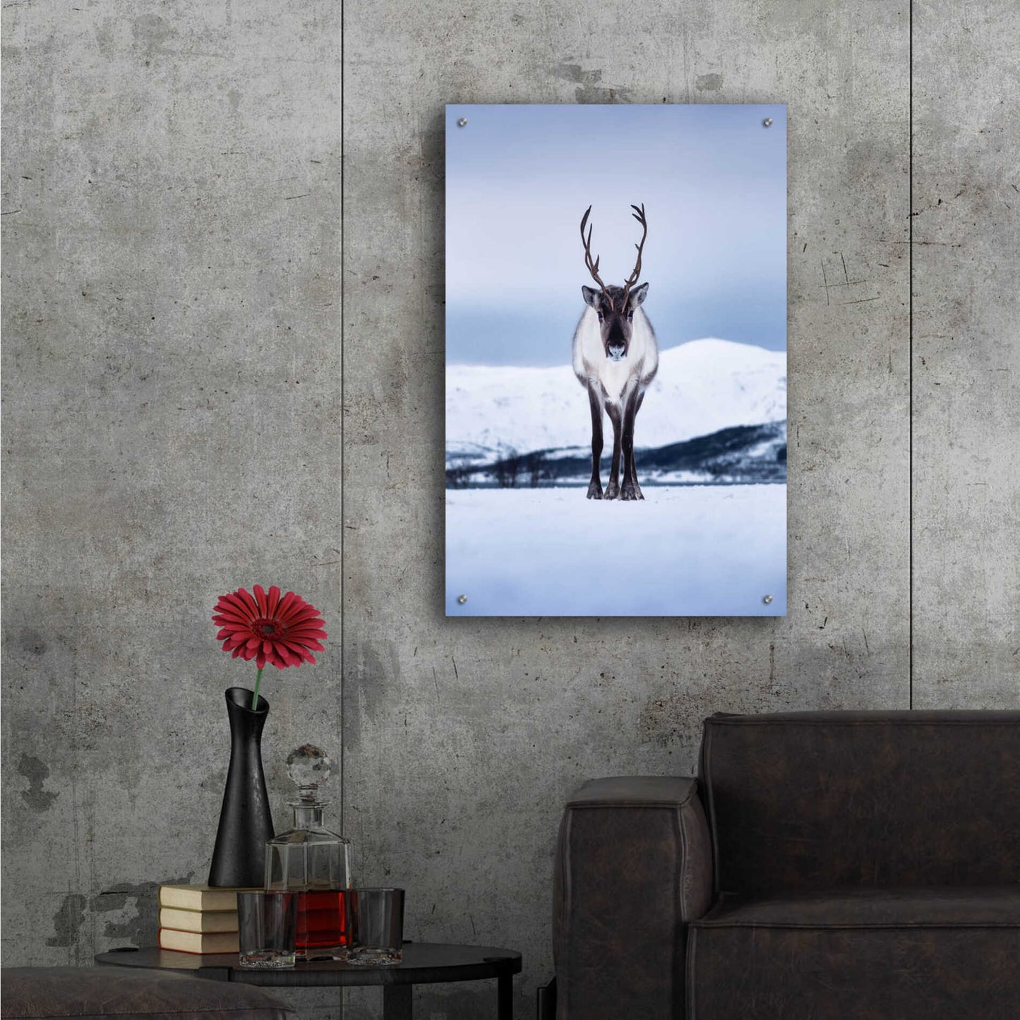 Epic Art 'Norwegian Raindeer' by Epic Portfolio Acrylic Glass Wall Art,24x36