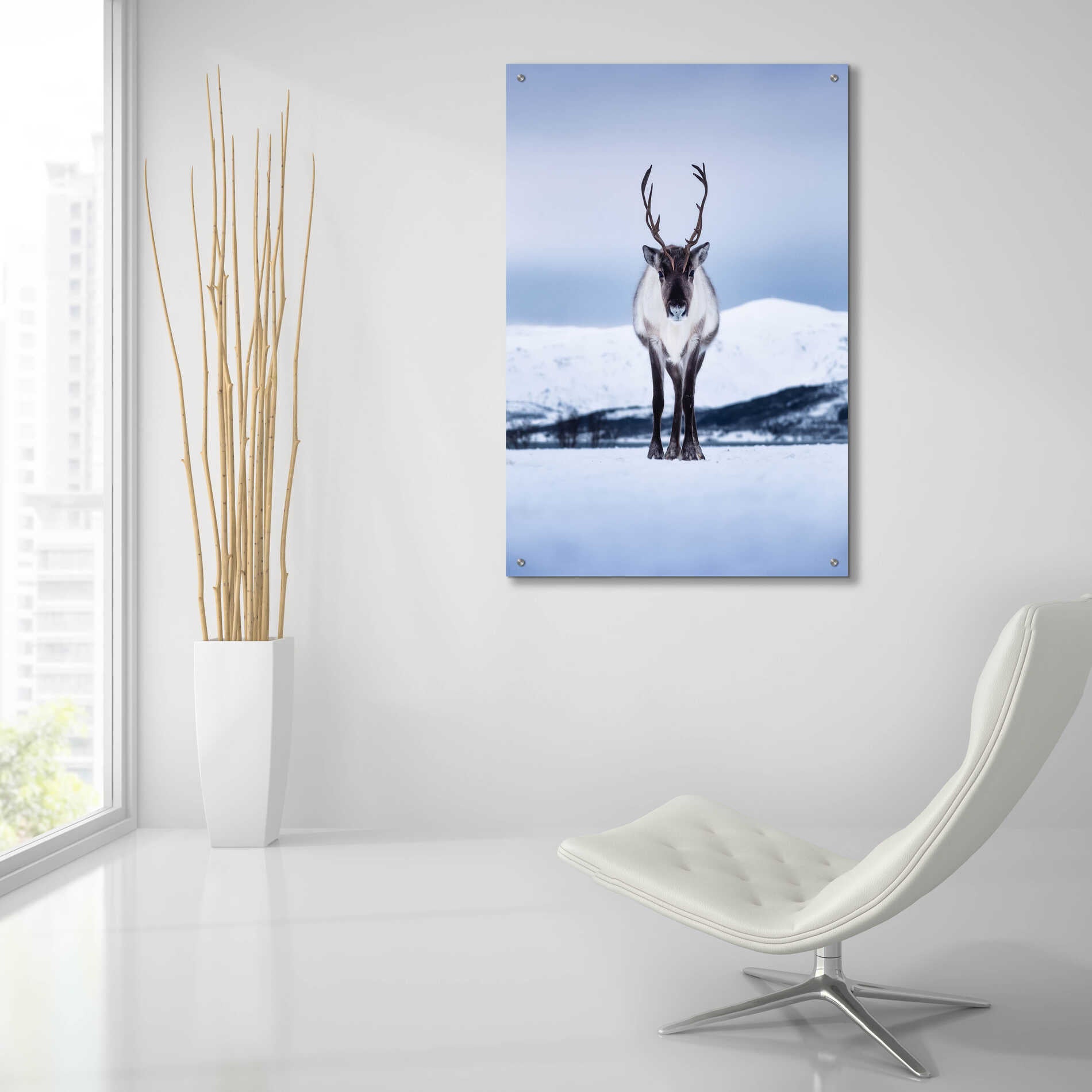 Epic Art 'Norwegian Raindeer' by Epic Portfolio Acrylic Glass Wall Art,24x36