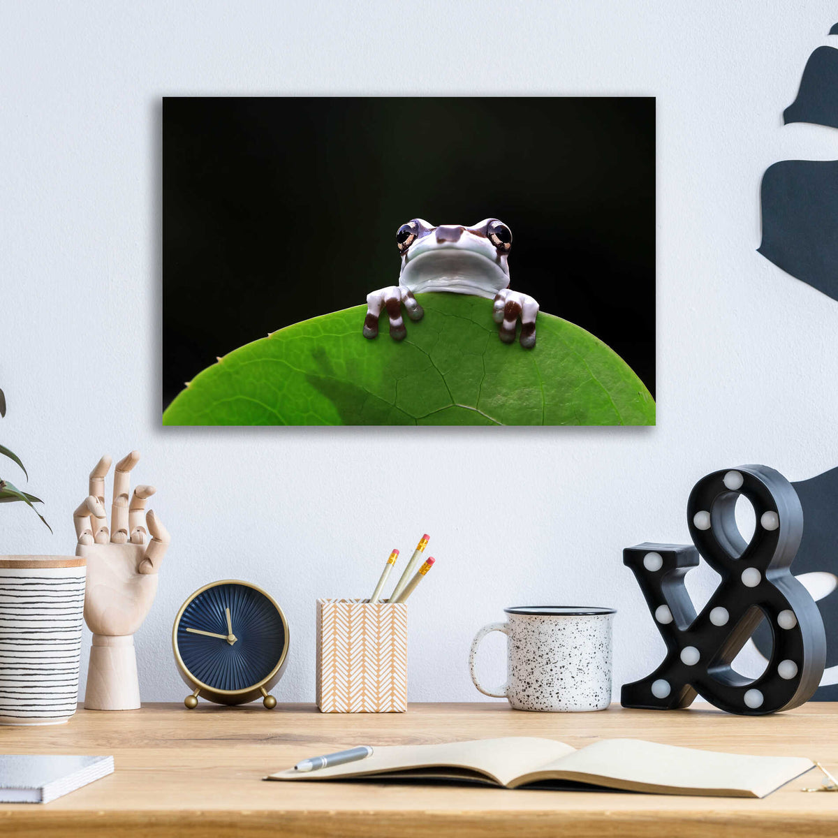 Epic Art 'Peekaboo' by Epic Portfolio Acrylic Glass Wall Art,16x12