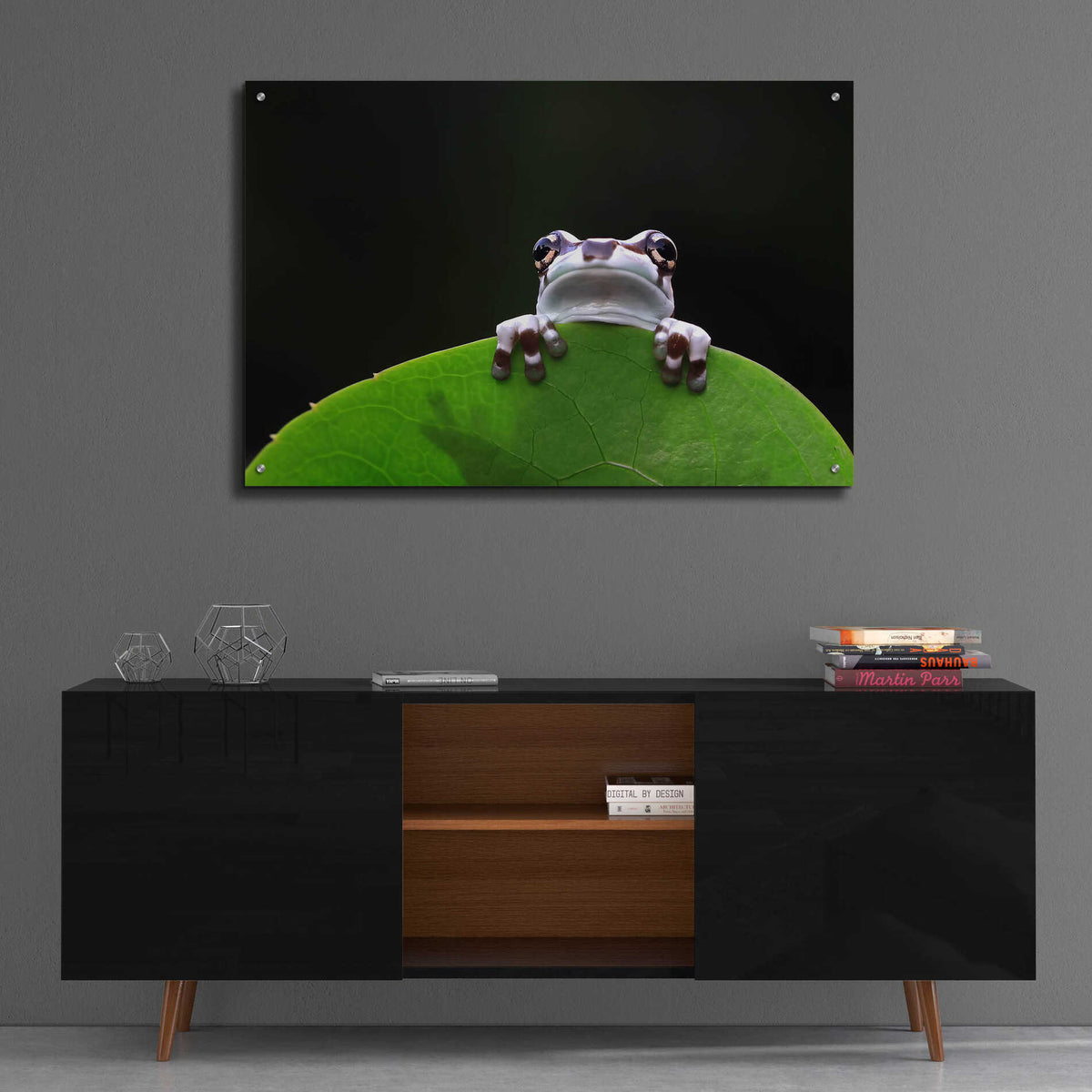 Epic Art 'Peekaboo' by Epic Portfolio Acrylic Glass Wall Art,36x24
