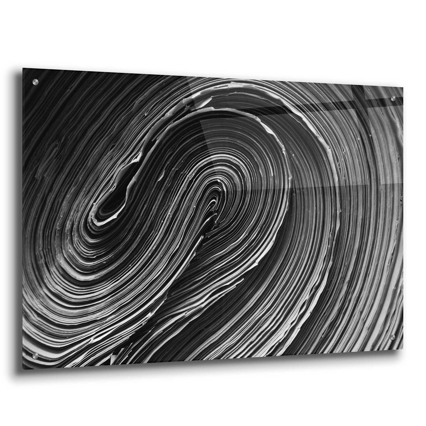 Epic Art 'Rolled Up' by Epic Portfolio Acrylic Glass Wall Art,36x24