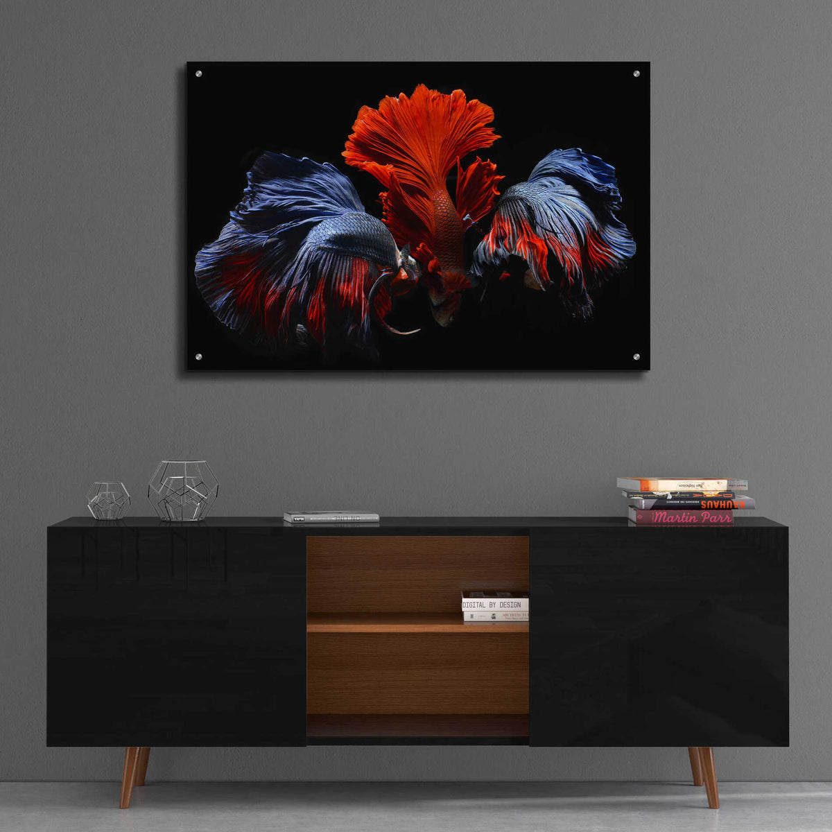 Epic Art 'Siamese Fighting Fish' by Epic Portfolio Acrylic Glass Wall Art,36x24