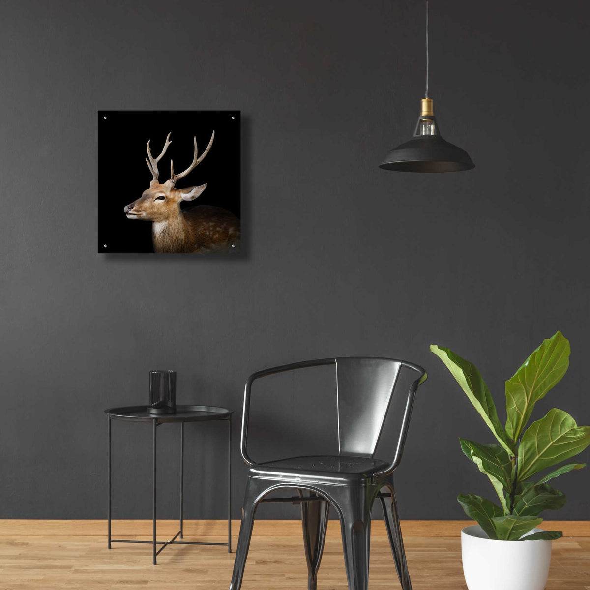 Epic Art 'Sika Deer' by Epic Portfolio Acrylic Glass Wall Art,24x24