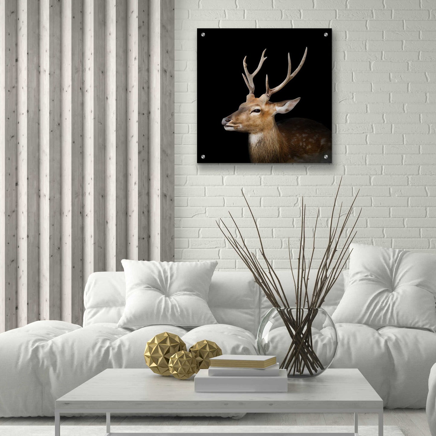 Epic Art 'Sika Deer' by Epic Portfolio Acrylic Glass Wall Art,24x24