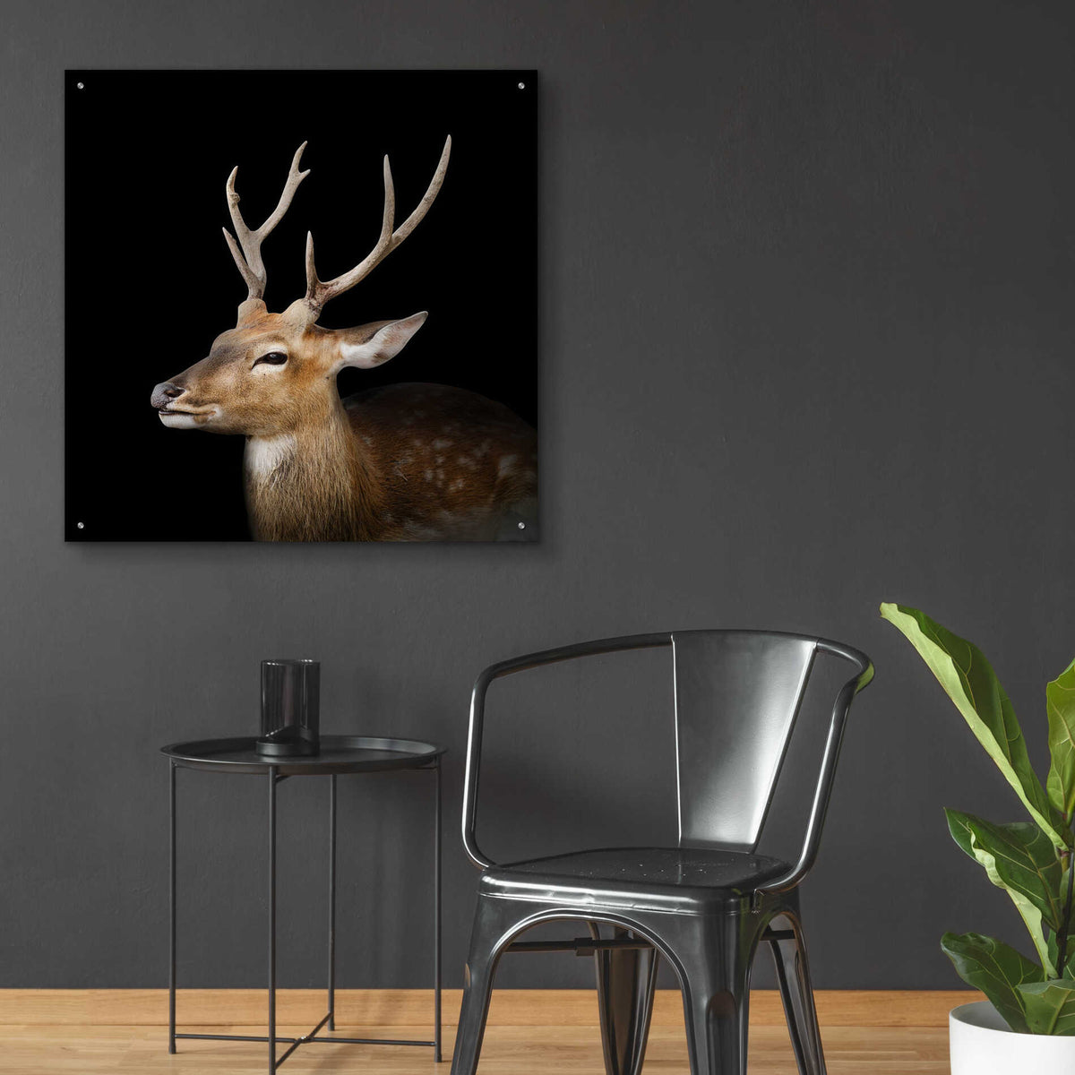 Epic Art 'Sika Deer' by Epic Portfolio Acrylic Glass Wall Art,36x36