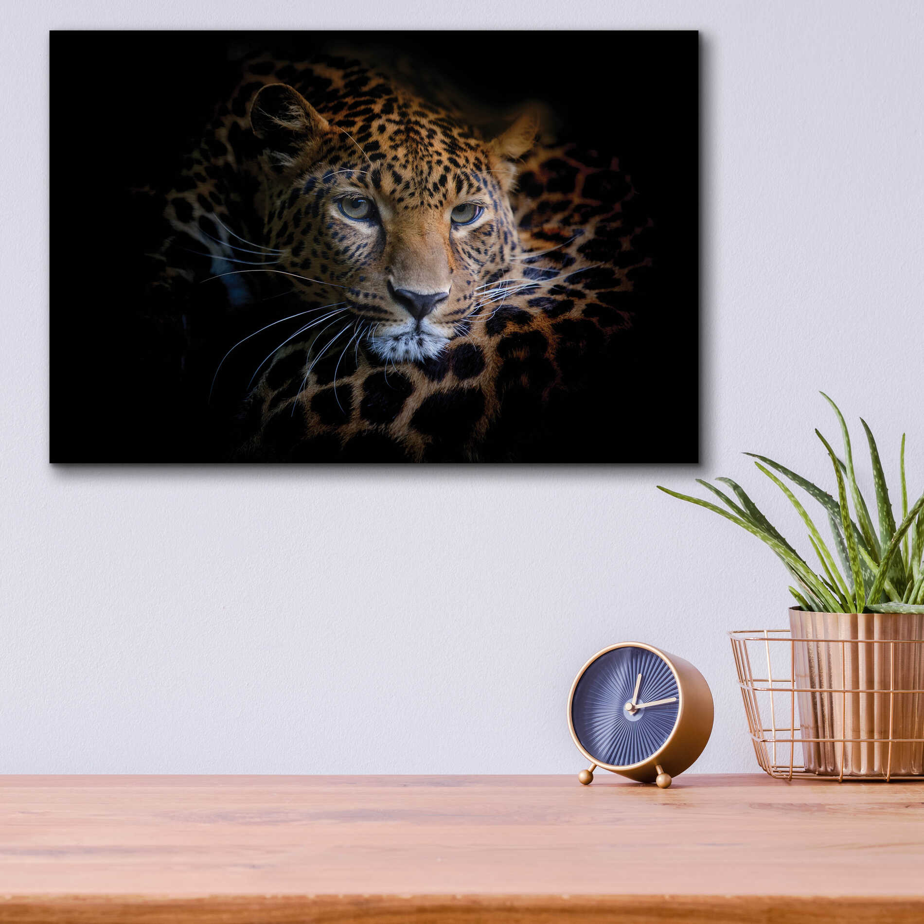 Epic Art 'Sleepy Leopard' by Epic Portfolio Acrylic Glass Wall Art,16x12