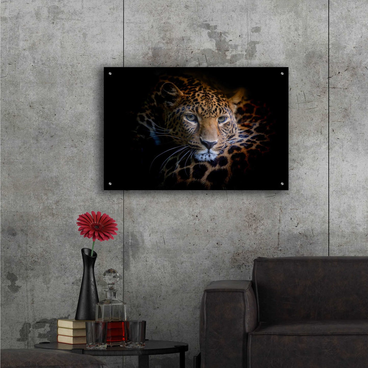 Epic Art 'Sleepy Leopard' by Epic Portfolio Acrylic Glass Wall Art,36x24