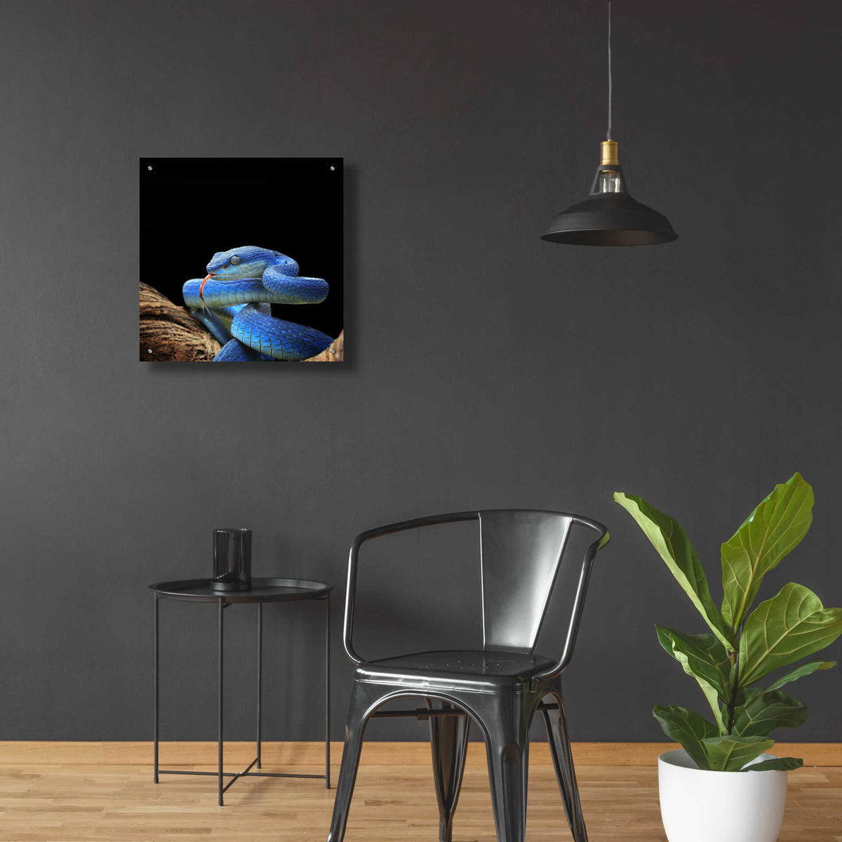 Epic Art 'Slithering Cobalt' by Epic Portfolio Acrylic Glass Wall Art,24x24