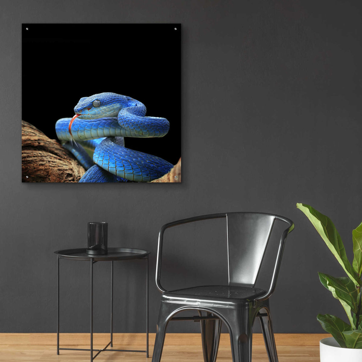 Epic Art 'Slithering Cobalt' by Epic Portfolio Acrylic Glass Wall Art,36x36