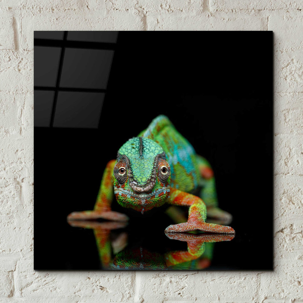 Epic Art 'Sneaky Cameleon' by Epic Portfolio Acrylic Glass Wall Art,12x12