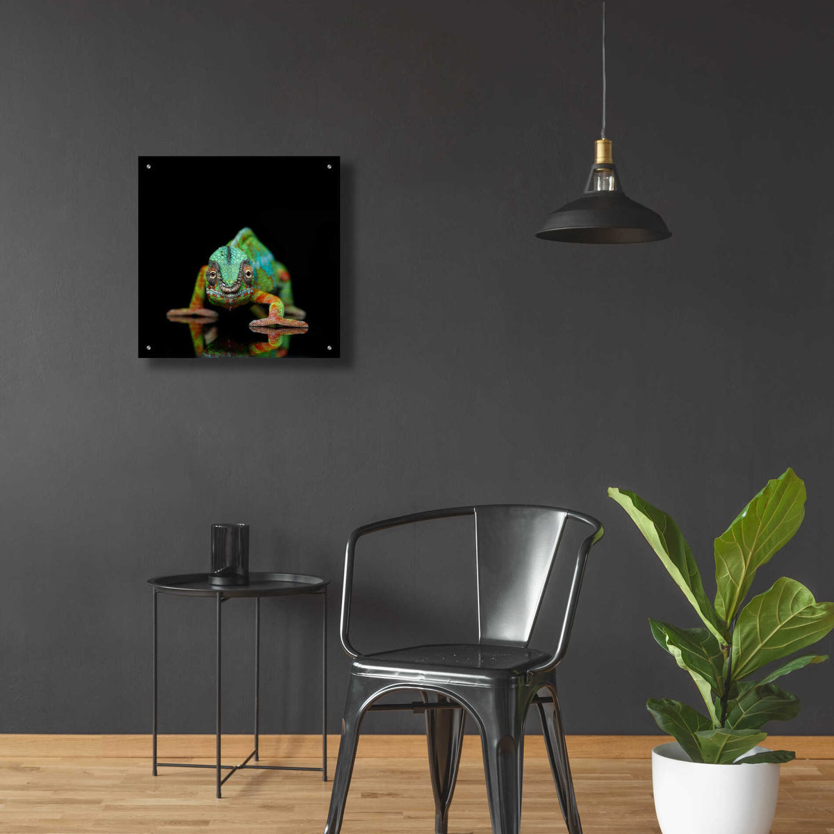 Epic Art 'Sneaky Cameleon' by Epic Portfolio Acrylic Glass Wall Art,24x24