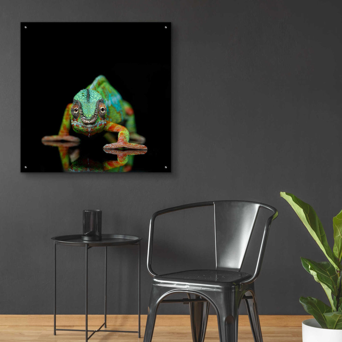 Epic Art 'Sneaky Cameleon' by Epic Portfolio Acrylic Glass Wall Art,36x36