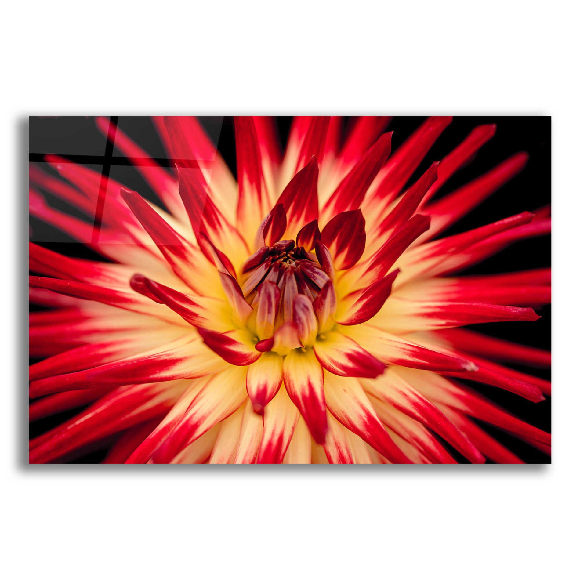 Epic Art 'Sunfire' by Epic Portfolio Acrylic Glass Wall Art,16x12