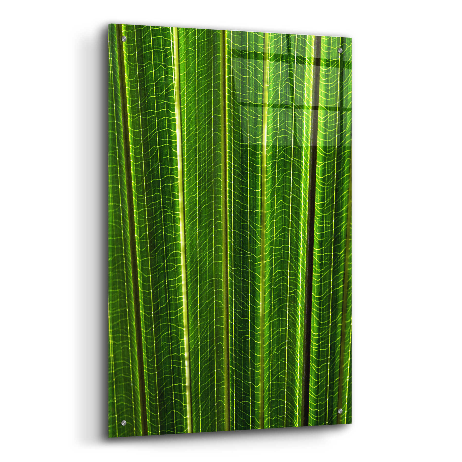 Epic Art 'The Great Green Wall' by Epic Portfolio Acrylic Glass Wall Art,24x36