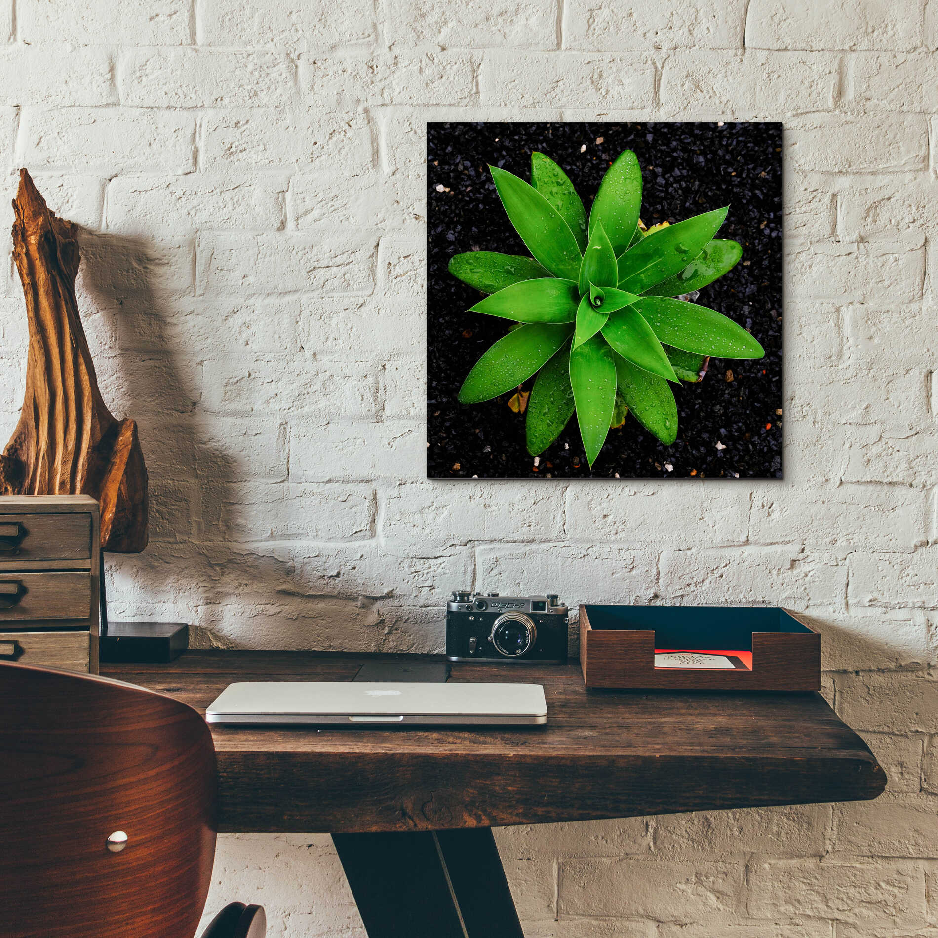 Epic Art 'The Green Bloom Crop' by Epic Portfolio Acrylic Glass Wall Art,12x12