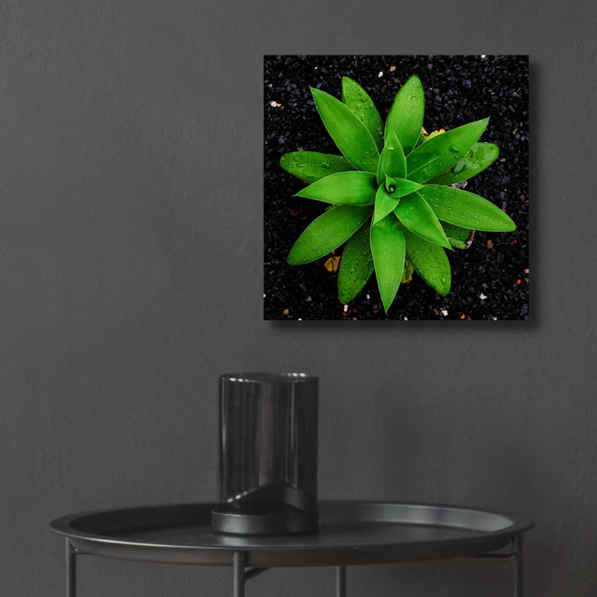 Epic Art 'The Green Bloom Crop' by Epic Portfolio Acrylic Glass Wall Art,12x12