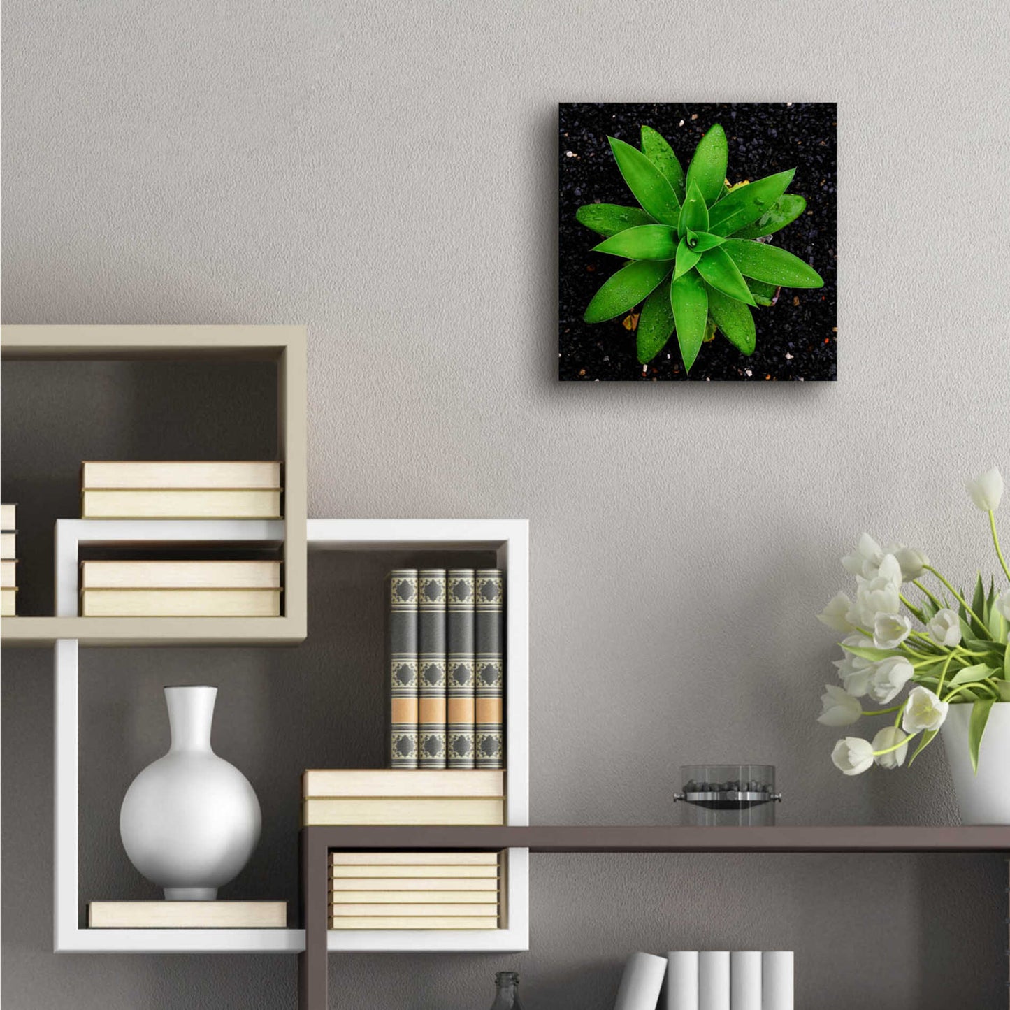 Epic Art 'The Green Bloom Crop' by Epic Portfolio Acrylic Glass Wall Art,12x12