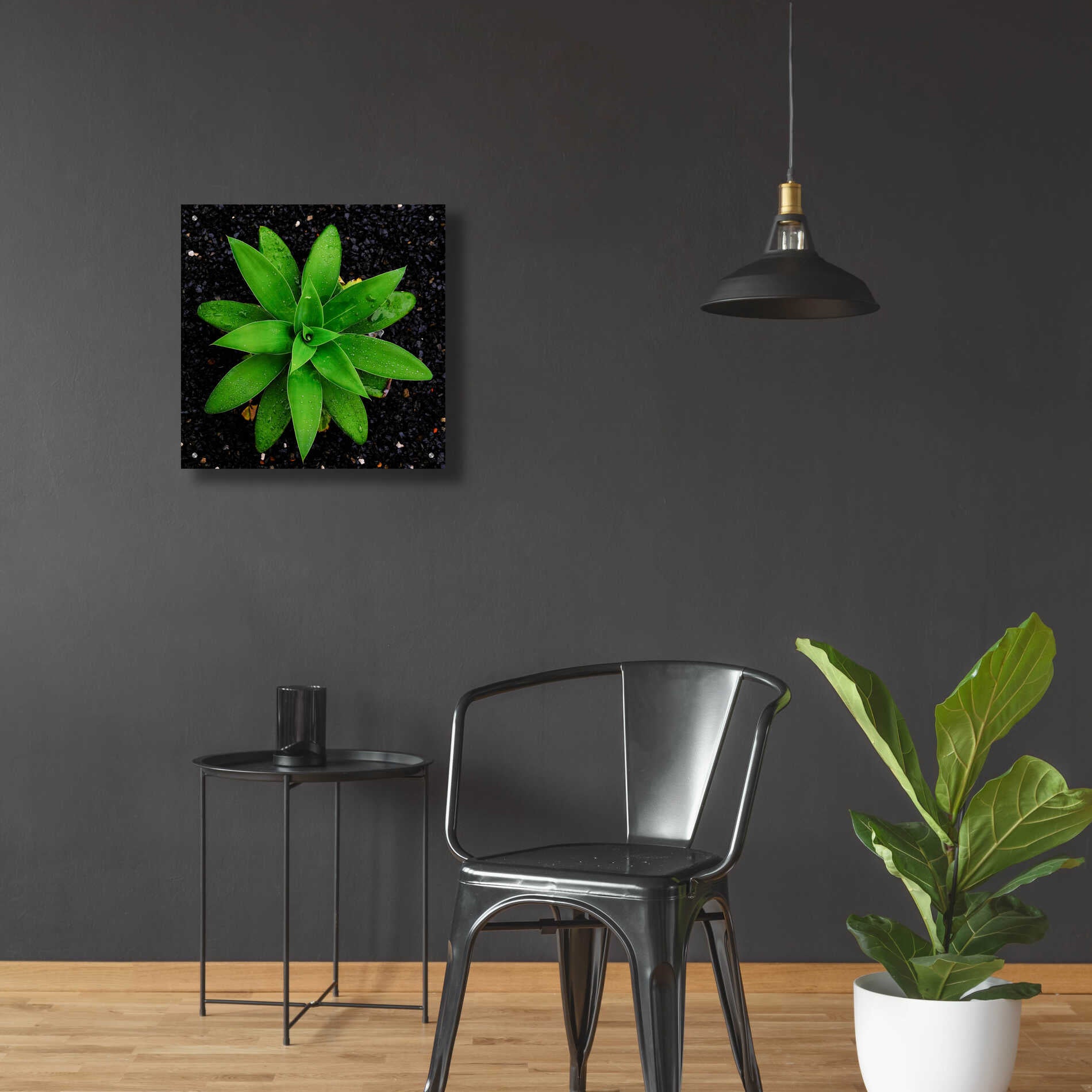 Epic Art 'The Green Bloom Crop' by Epic Portfolio Acrylic Glass Wall Art,24x24