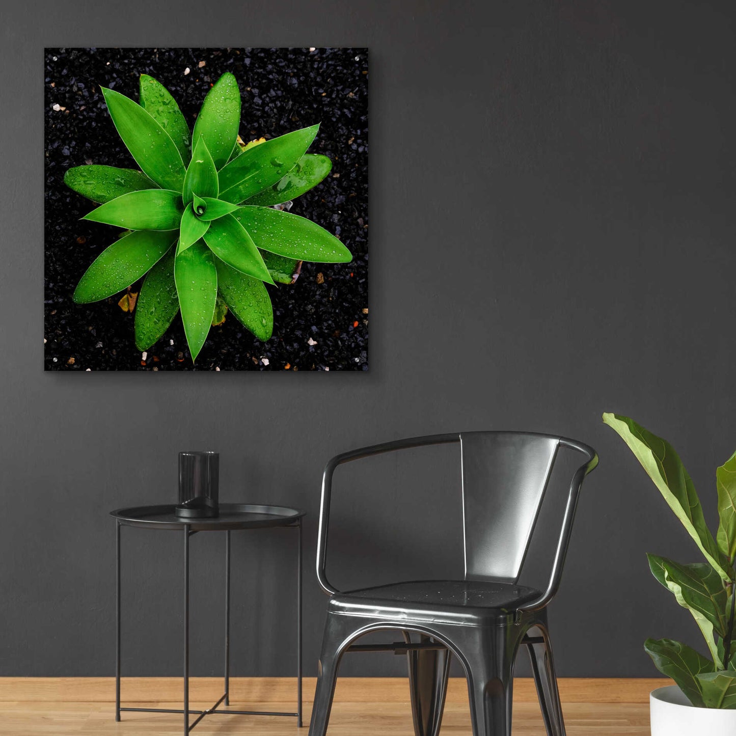 Epic Art 'The Green Bloom Crop' by Epic Portfolio Acrylic Glass Wall Art,36x36