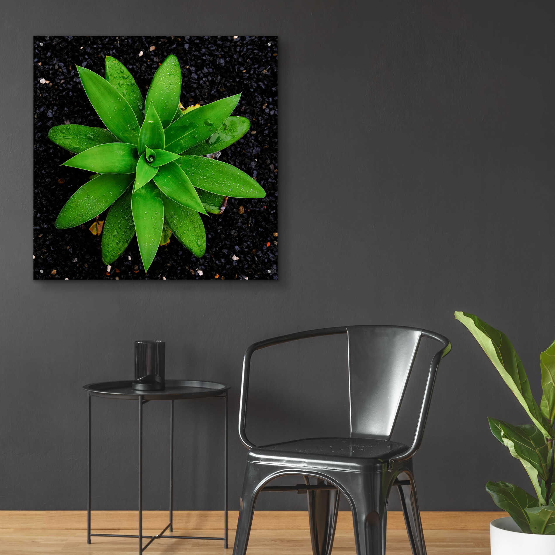 Epic Art 'The Green Bloom Crop' by Epic Portfolio Acrylic Glass Wall Art,36x36