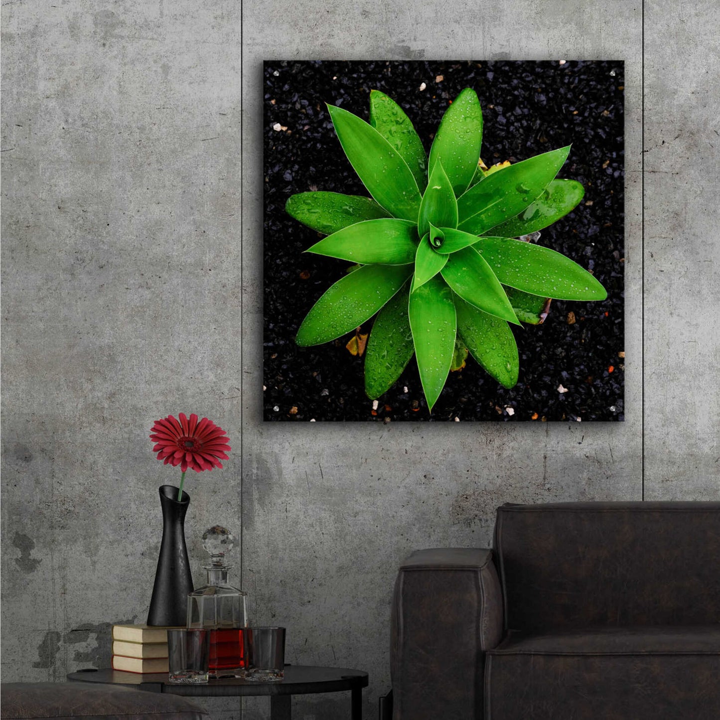 Epic Art 'The Green Bloom Crop' by Epic Portfolio Acrylic Glass Wall Art,36x36