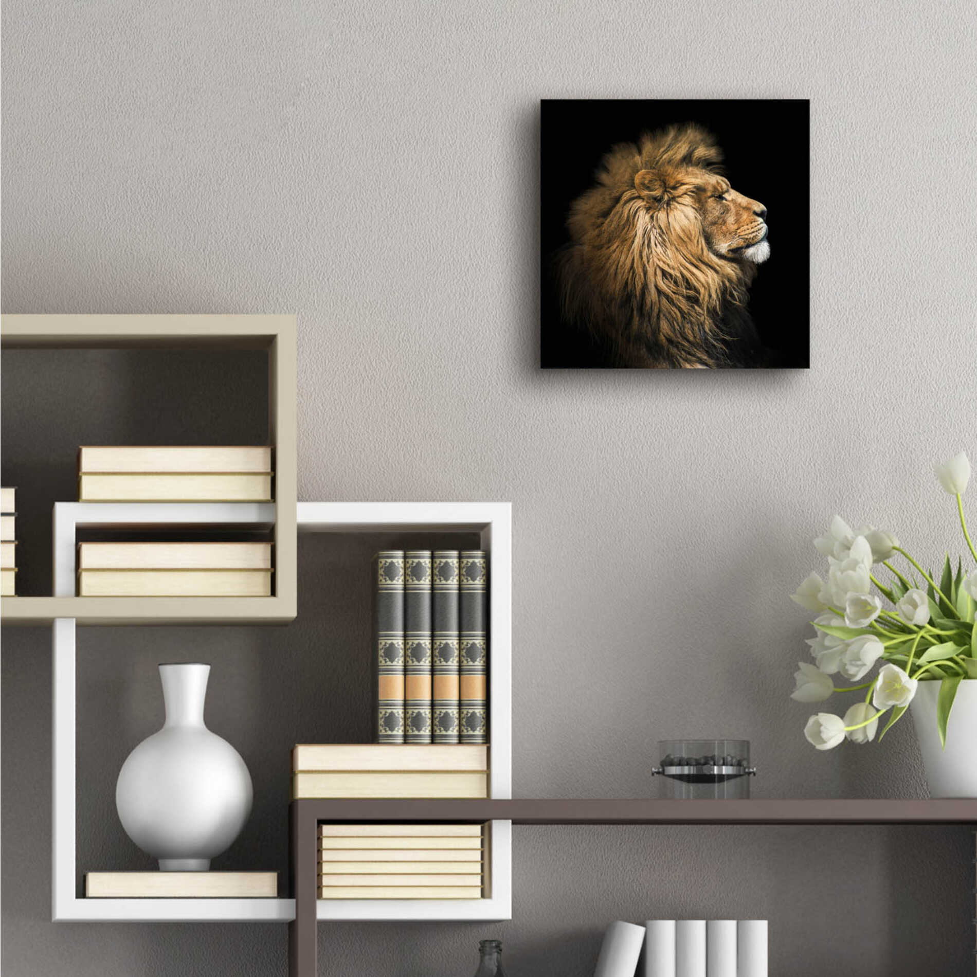 Epic Art 'The King Of The Jungle' by Epic Portfolio Acrylic Glass Wall Art,12x12