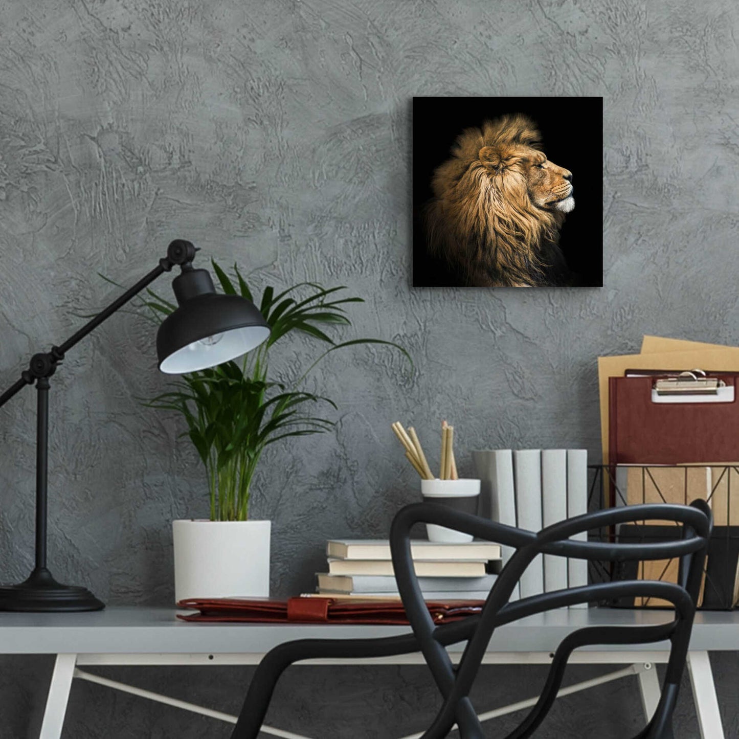 Epic Art 'The King Of The Jungle' by Epic Portfolio Acrylic Glass Wall Art,12x12