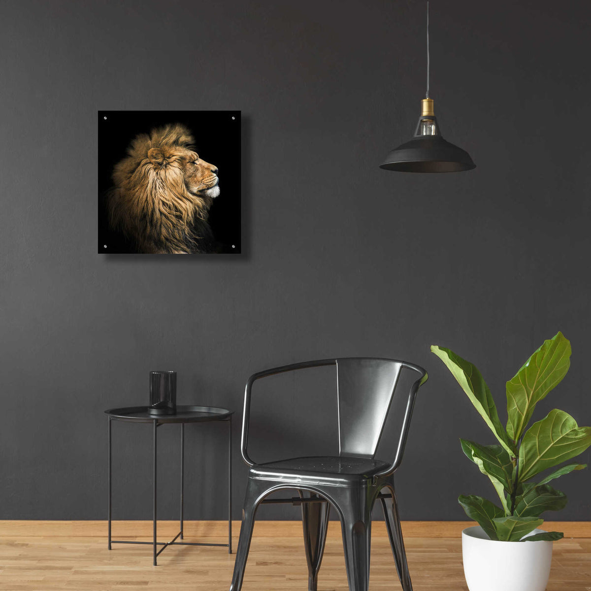 Epic Art 'The King Of The Jungle' by Epic Portfolio Acrylic Glass Wall Art,24x24